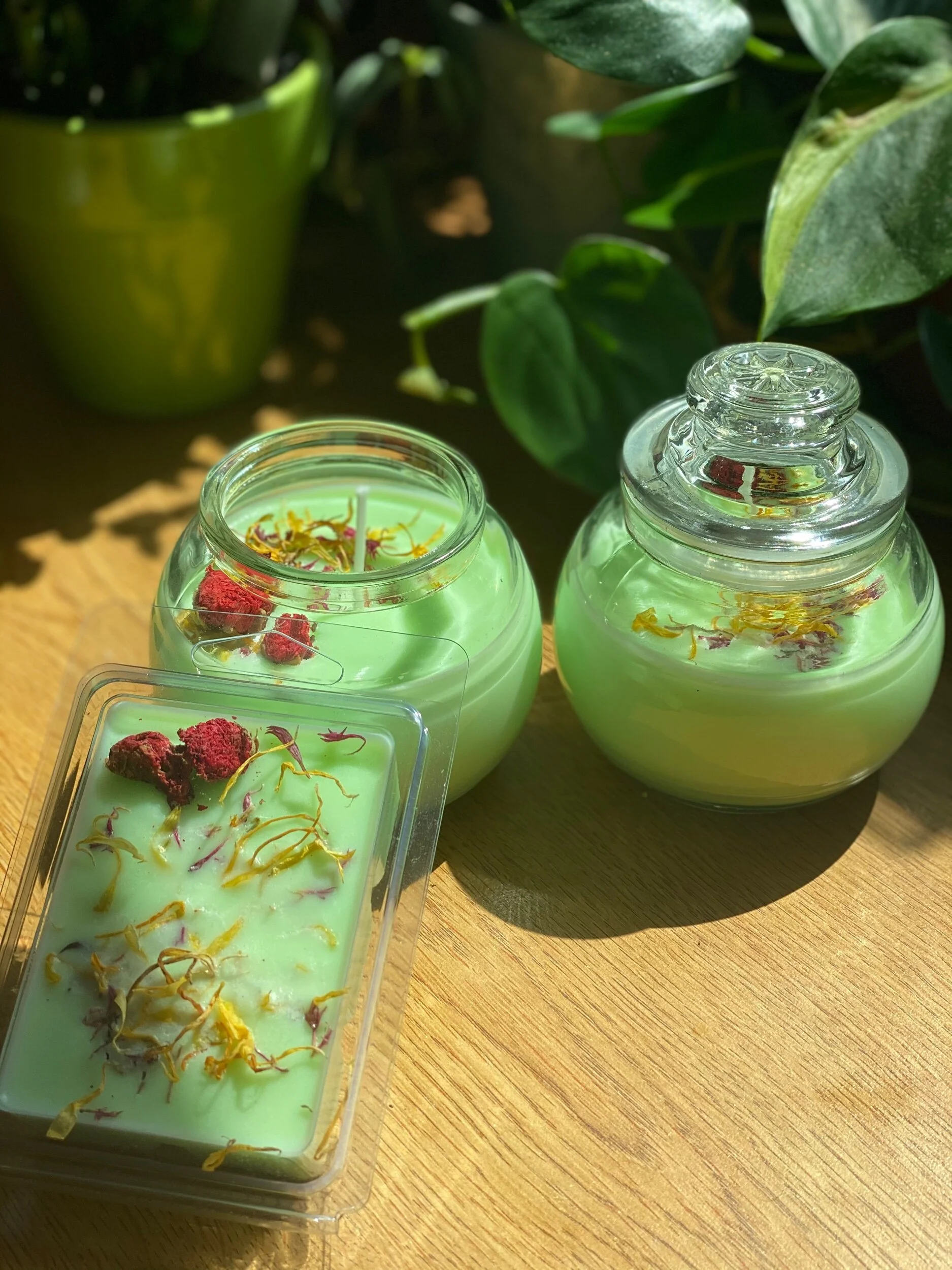 A64E454C-5F71-4FC6-A105-6490B49CA926