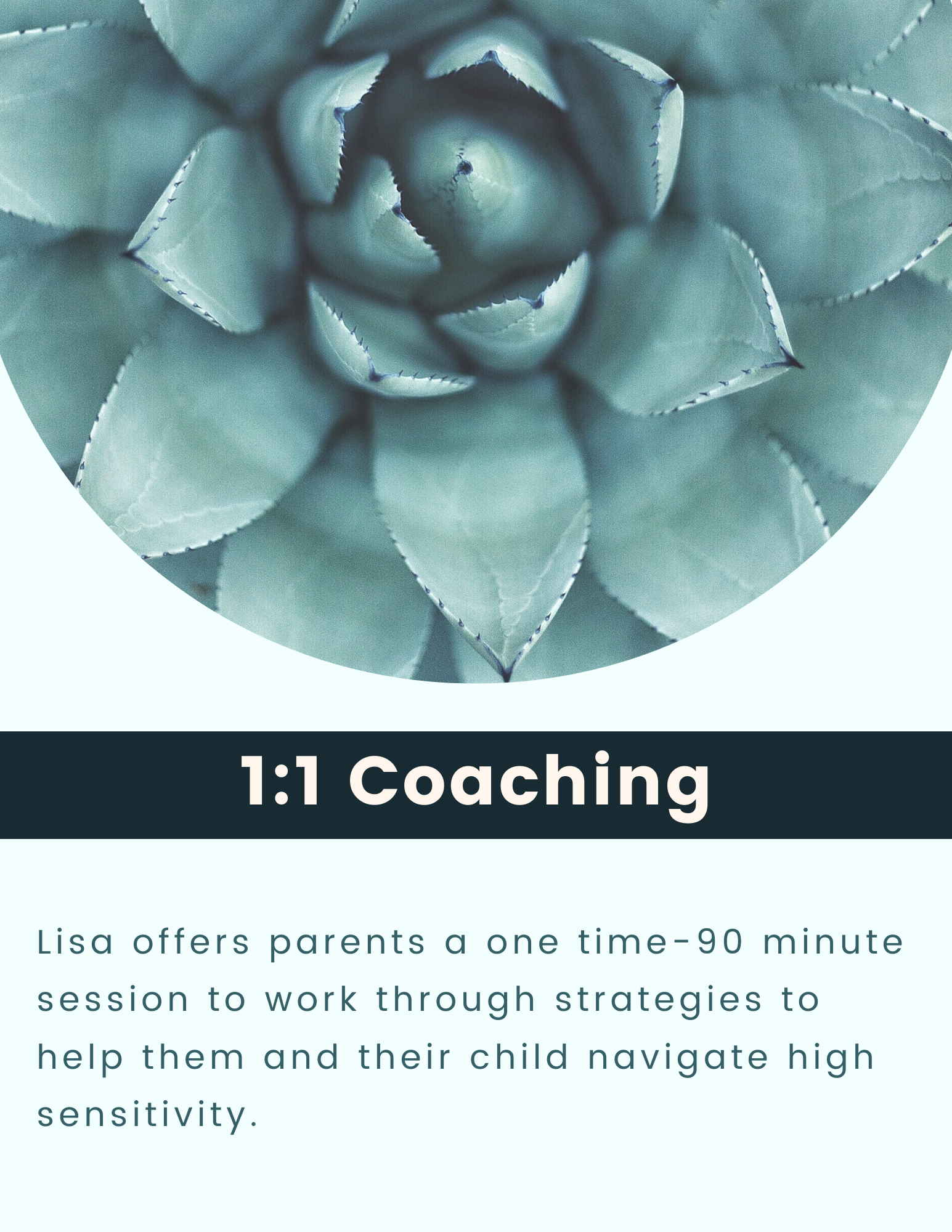 1_1 Coaching (1).png