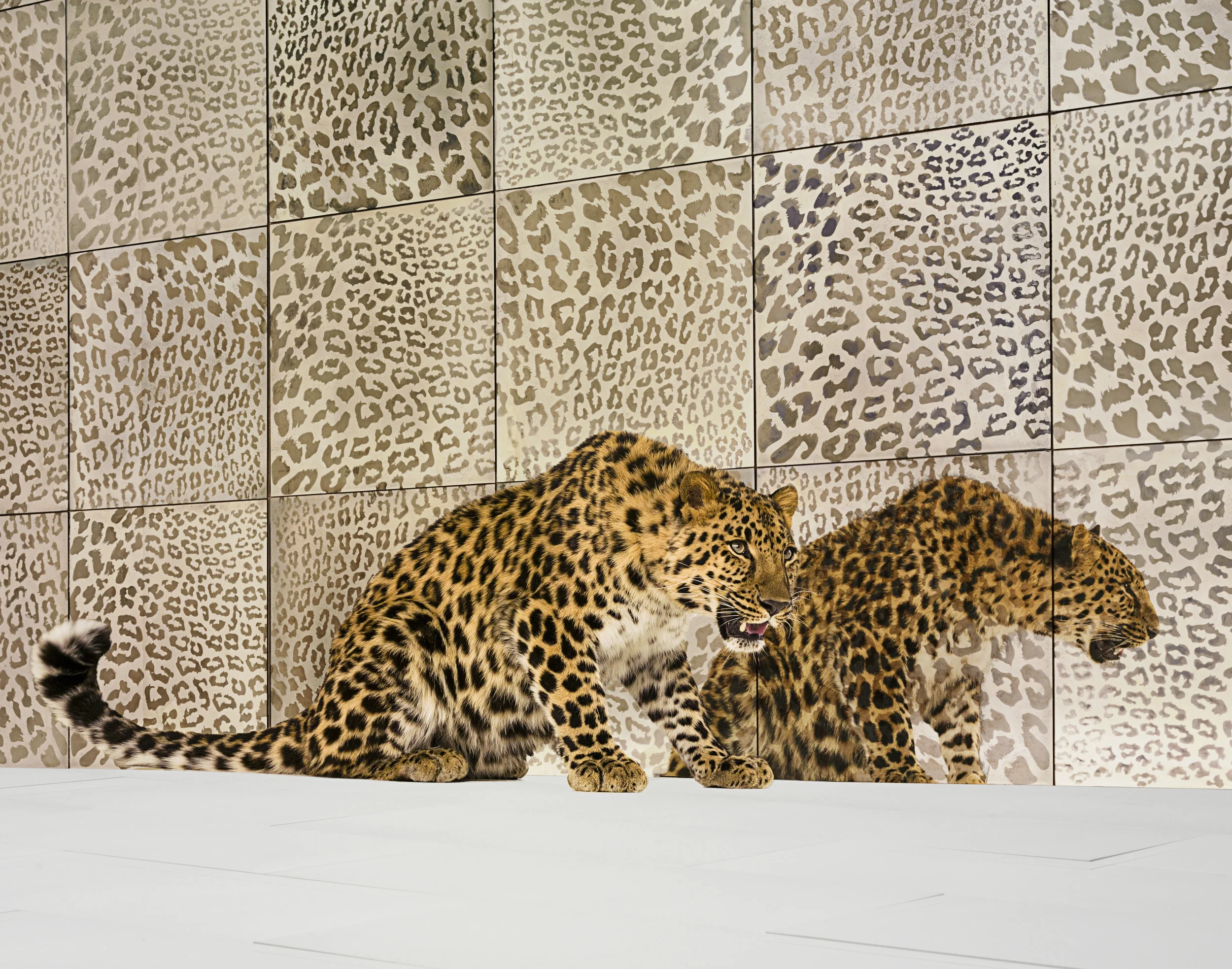Ann Sacks Tile, CO Projects, Photo: Michael Jones