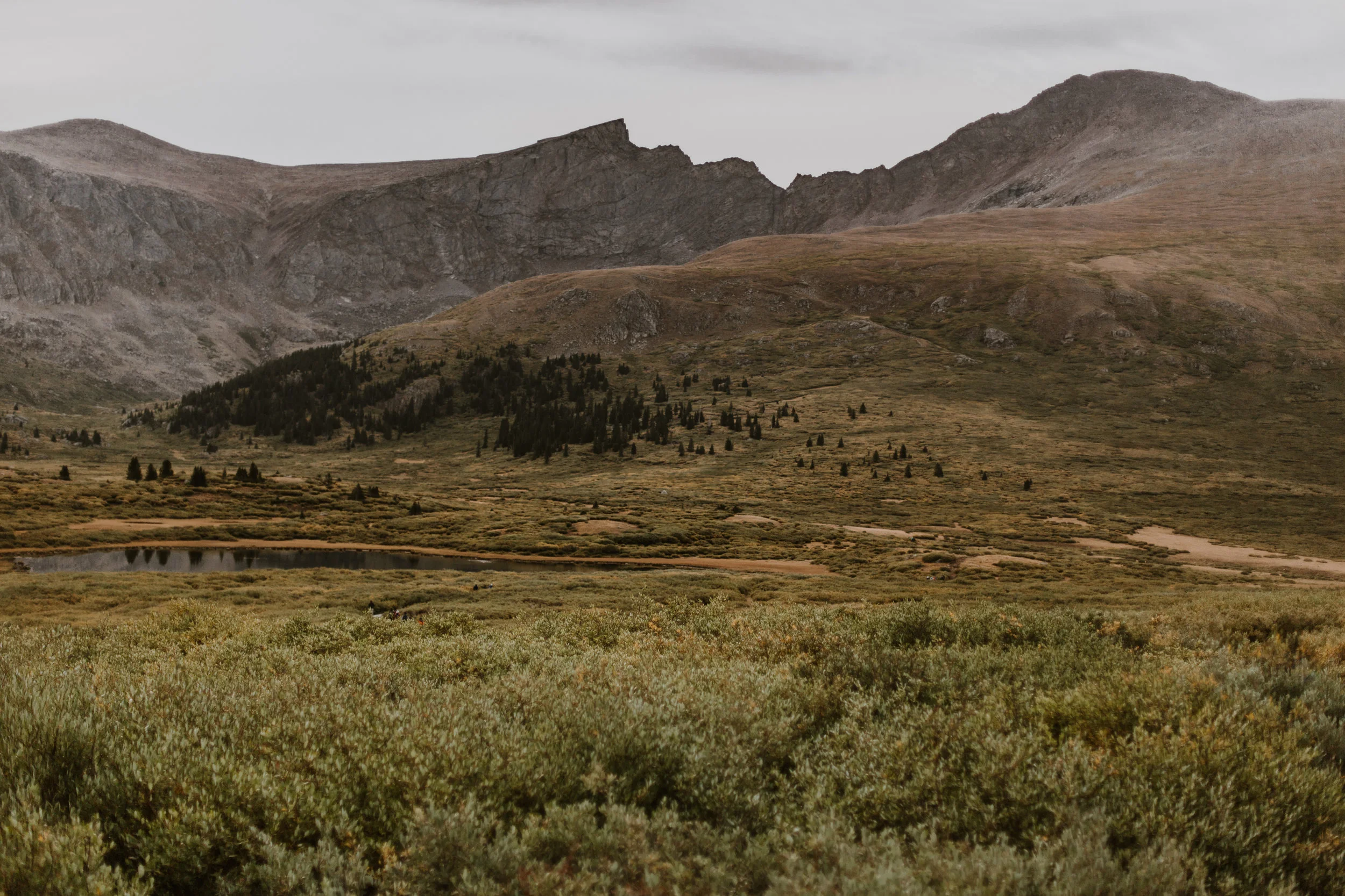 _MG_6557.jpg