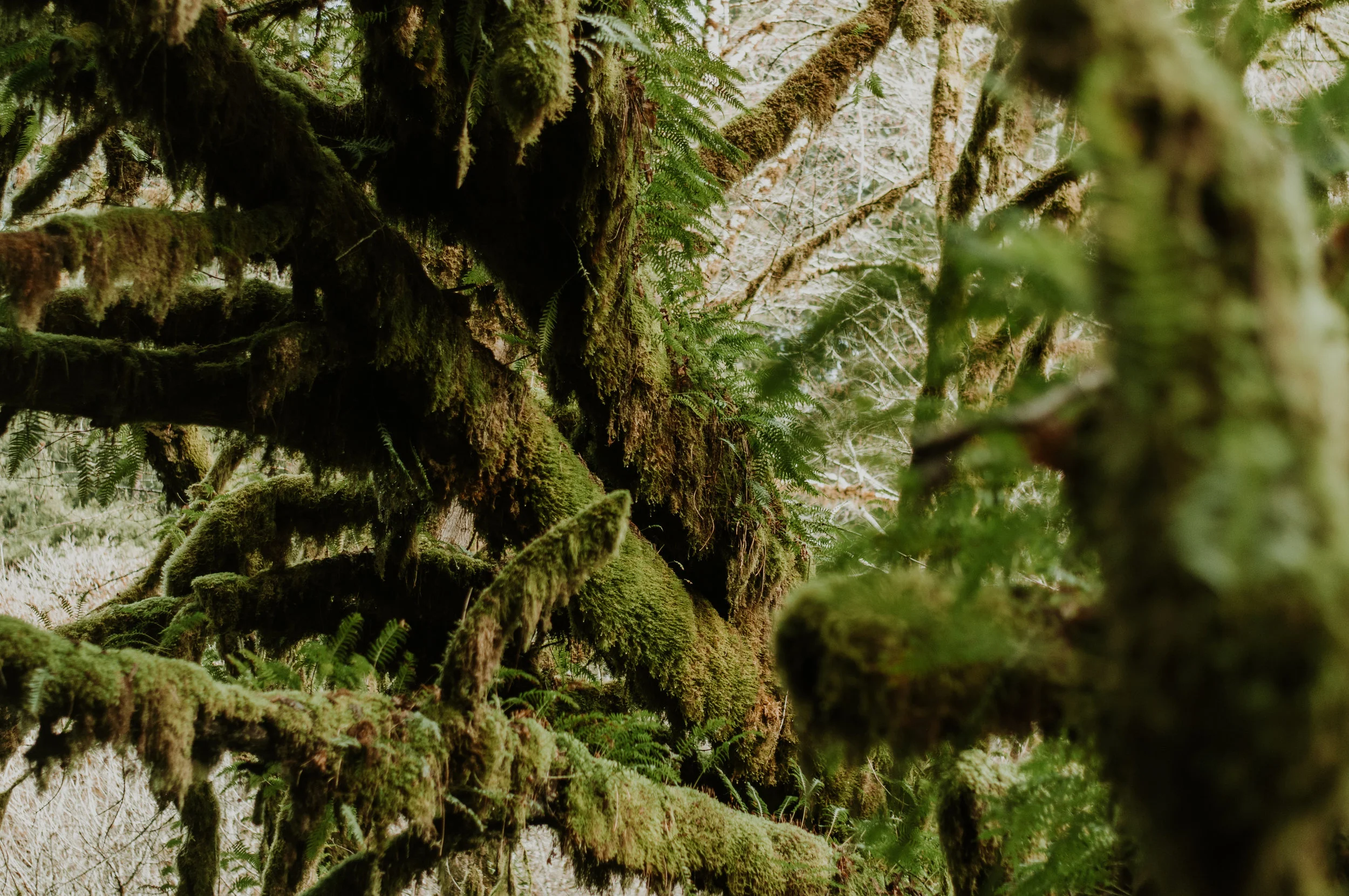 _DSC0909.jpg