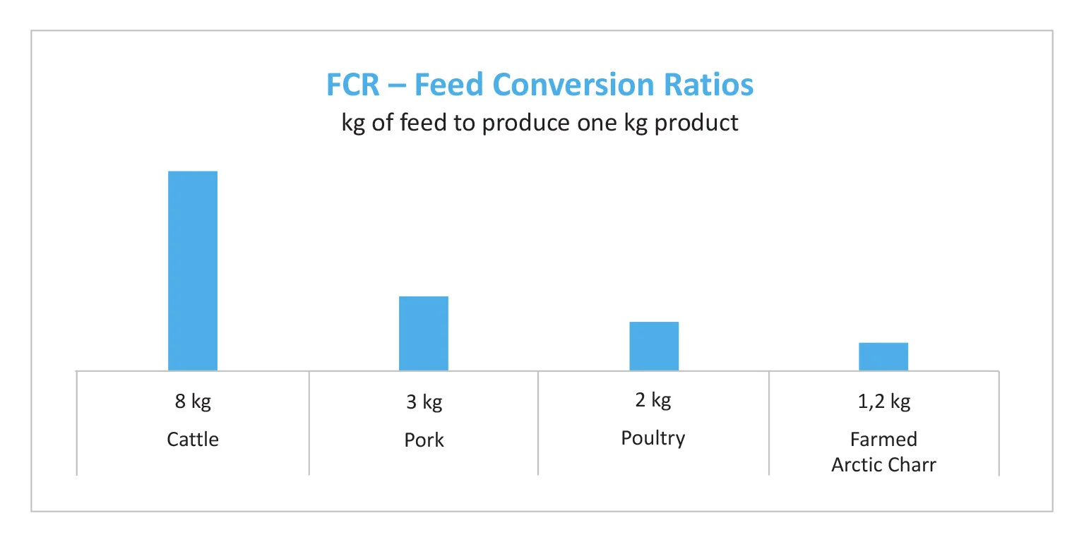 feedconversionratios.jpg