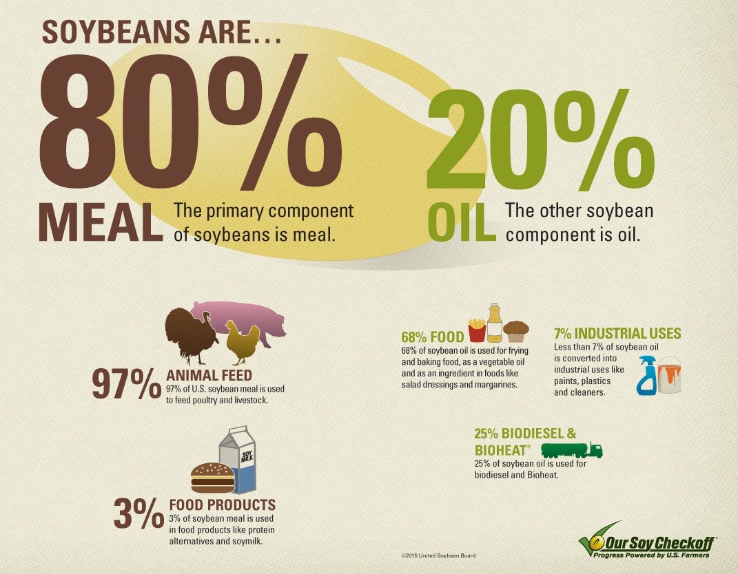 Soybean Myths — Truth or Drought