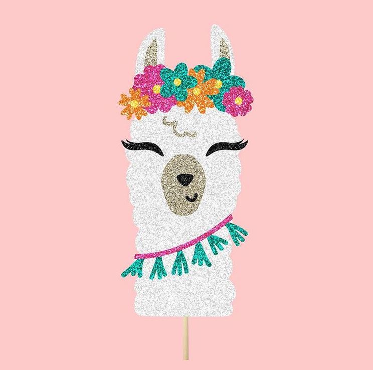 Chroma Photobooth - llama prop