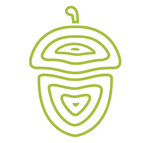 Oakwood-Website-Logo3.png