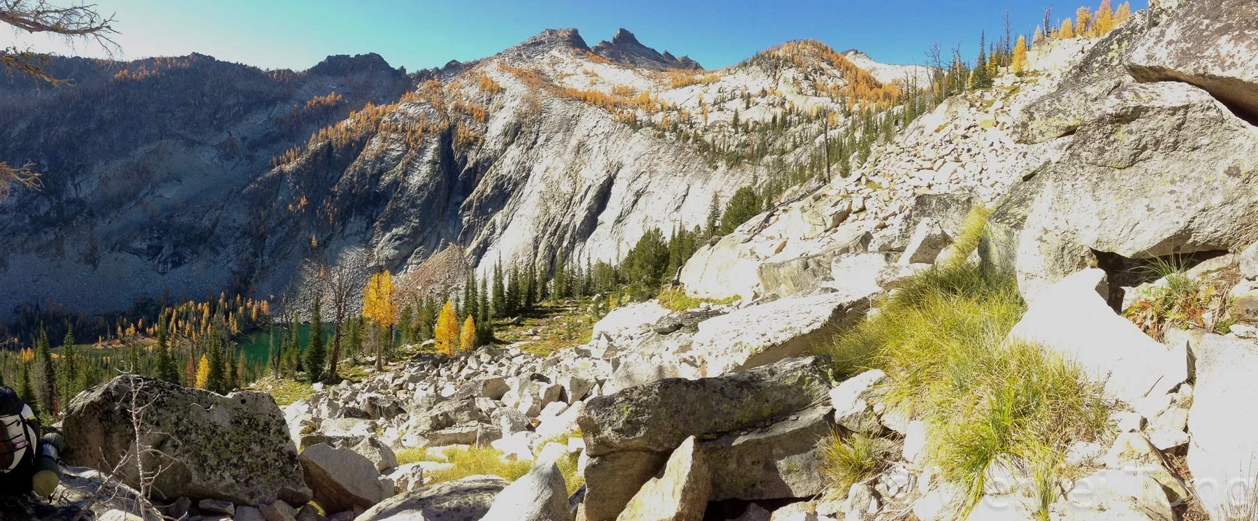 Larches turning golden in the Bitterroot Mountains