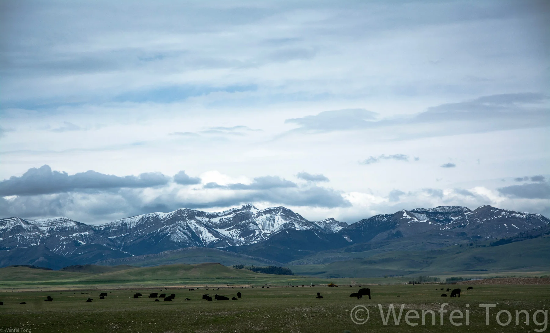 View from the car of the Rocky Mountain Front near Choteau, MT
