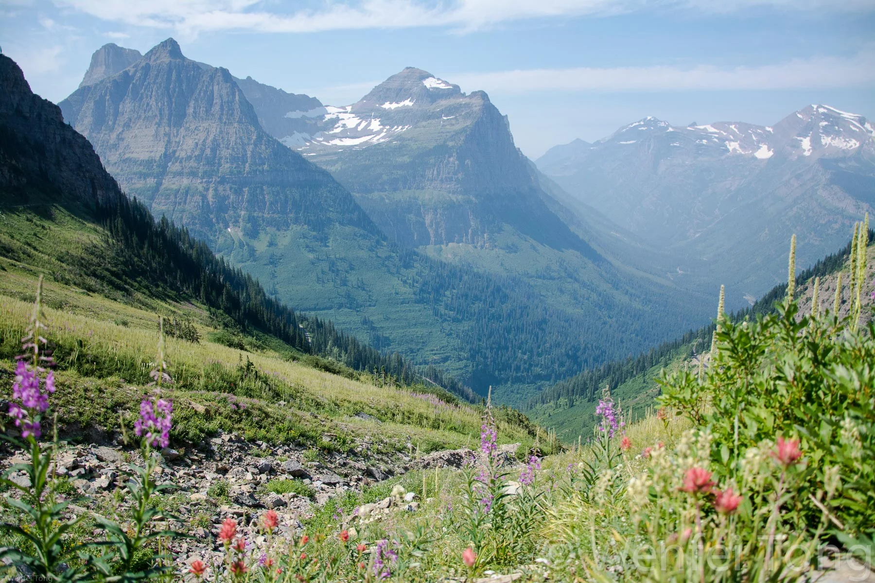 View from the Highline trail in Glacier NP in July