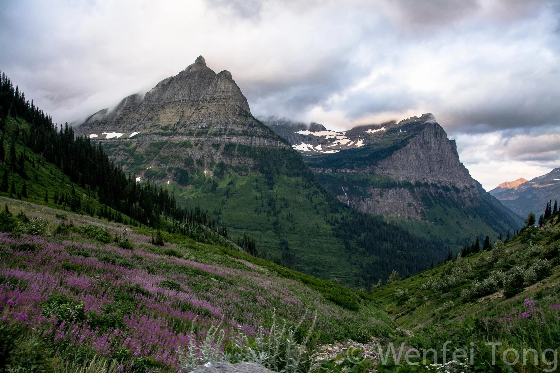 View from the Going-To-The-Sun Road in Glacier NP