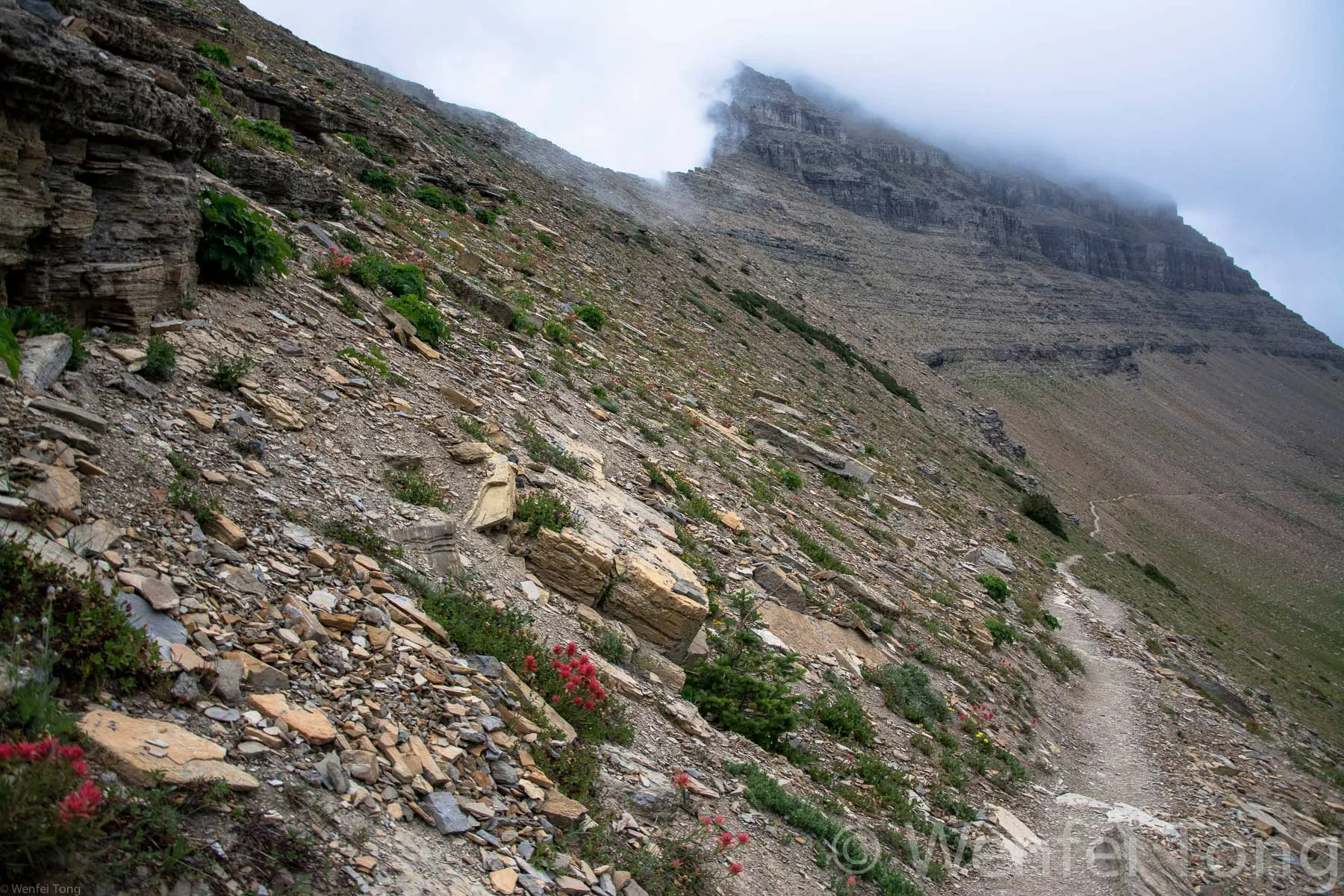 Mist over the trail near Piegan Pass in Glacier NP
