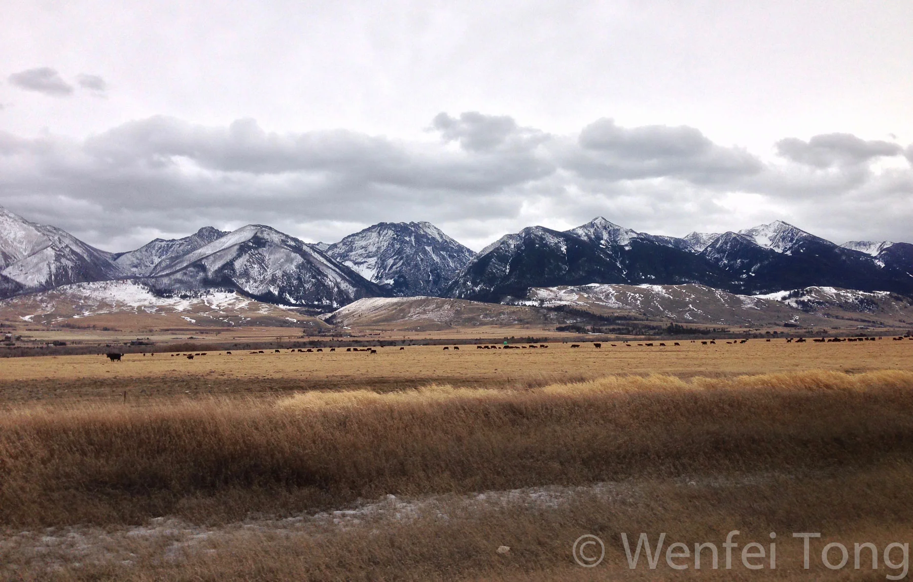 Paradise Valley