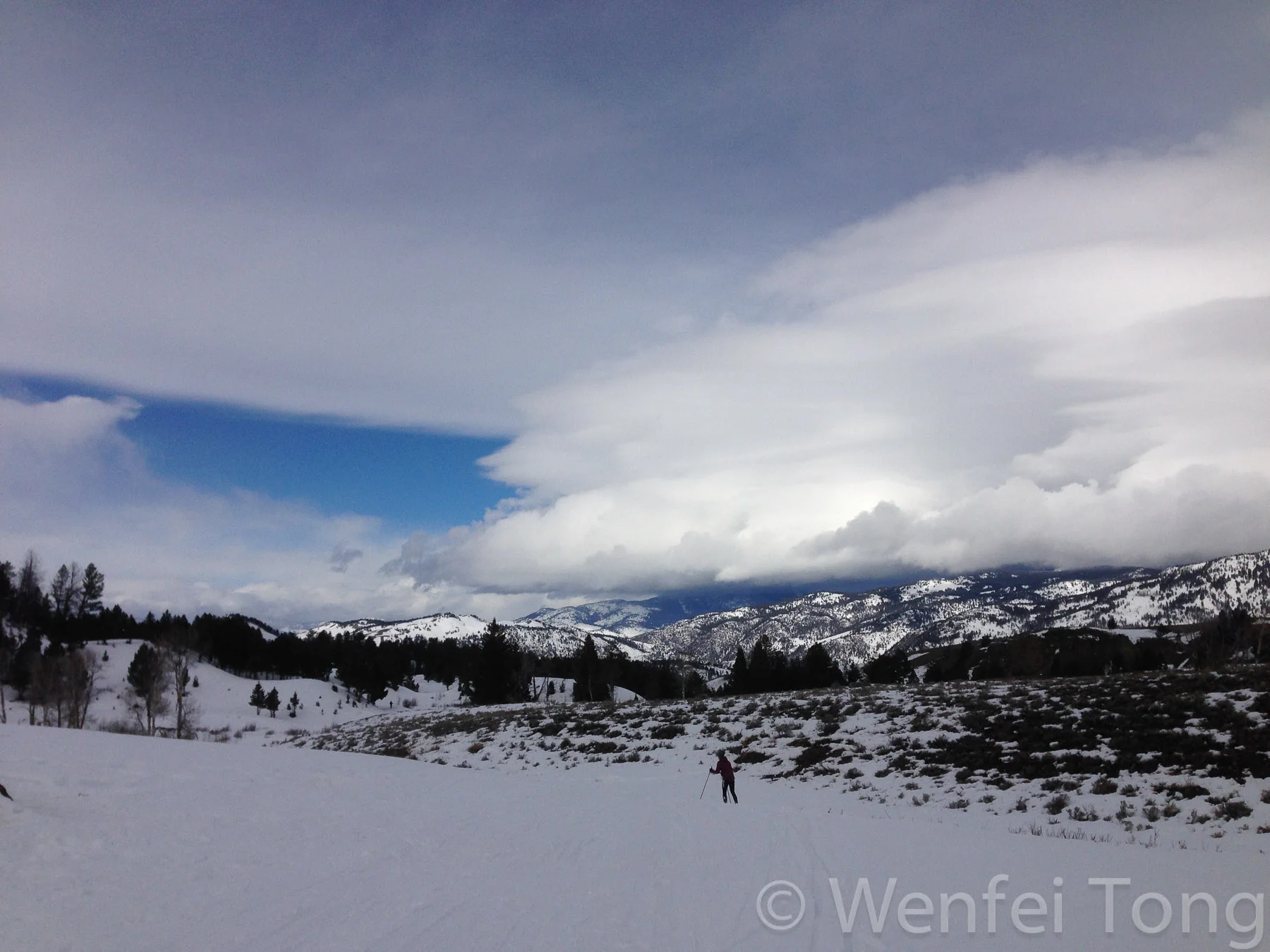 Cross country skiing in Yellowstone National Park