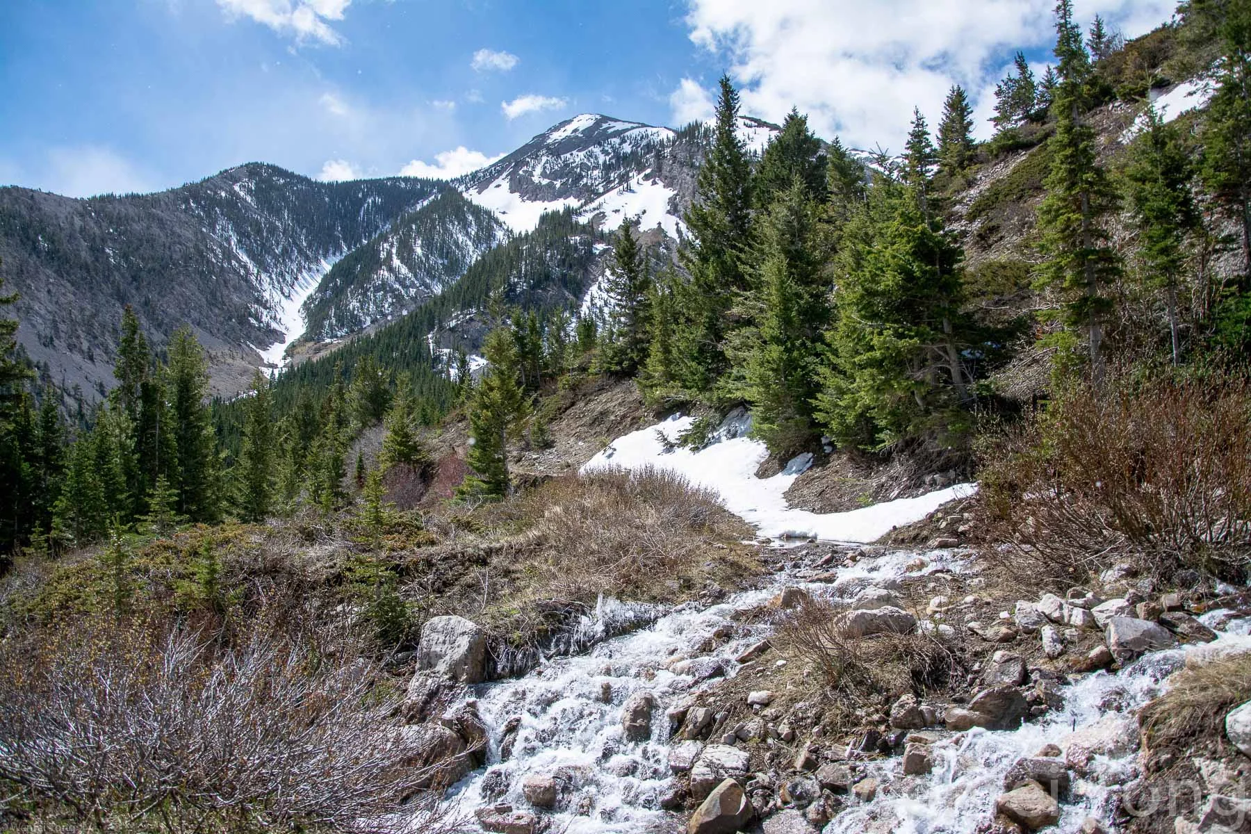 Bob Marshall Wilderness in late spring