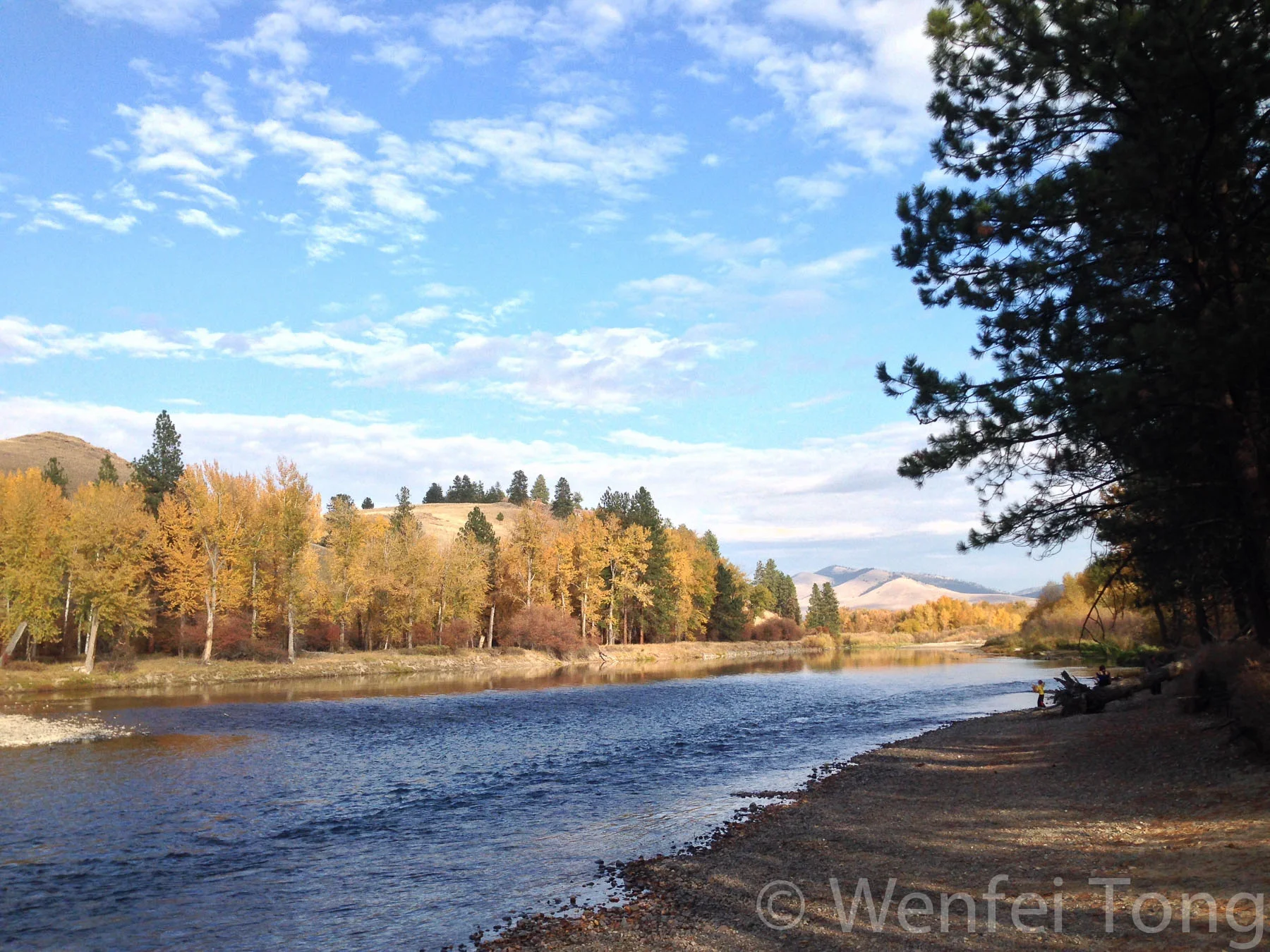 Bitterroot river at Maclay Flat in Missoula