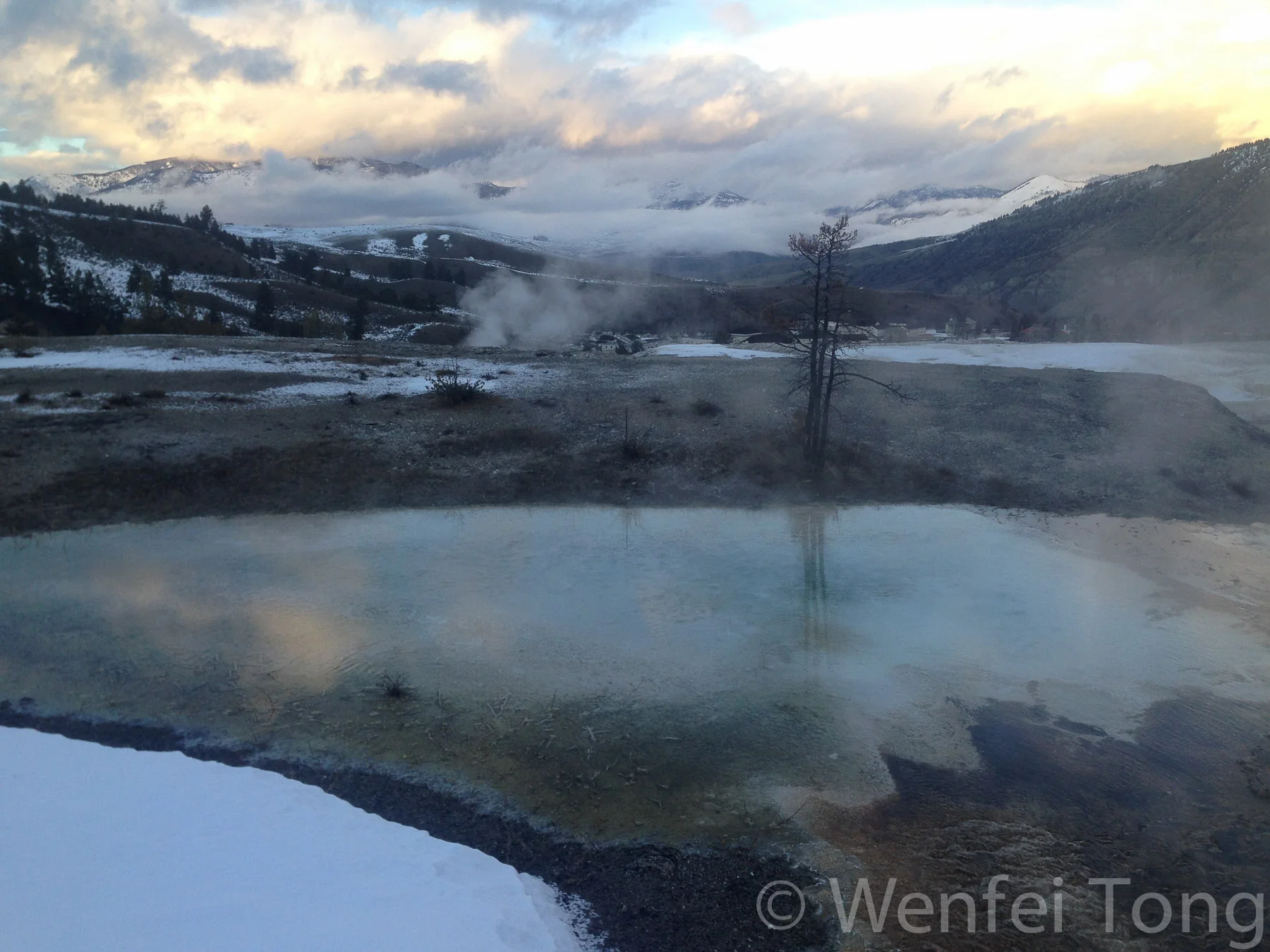 Mammoth hot springs