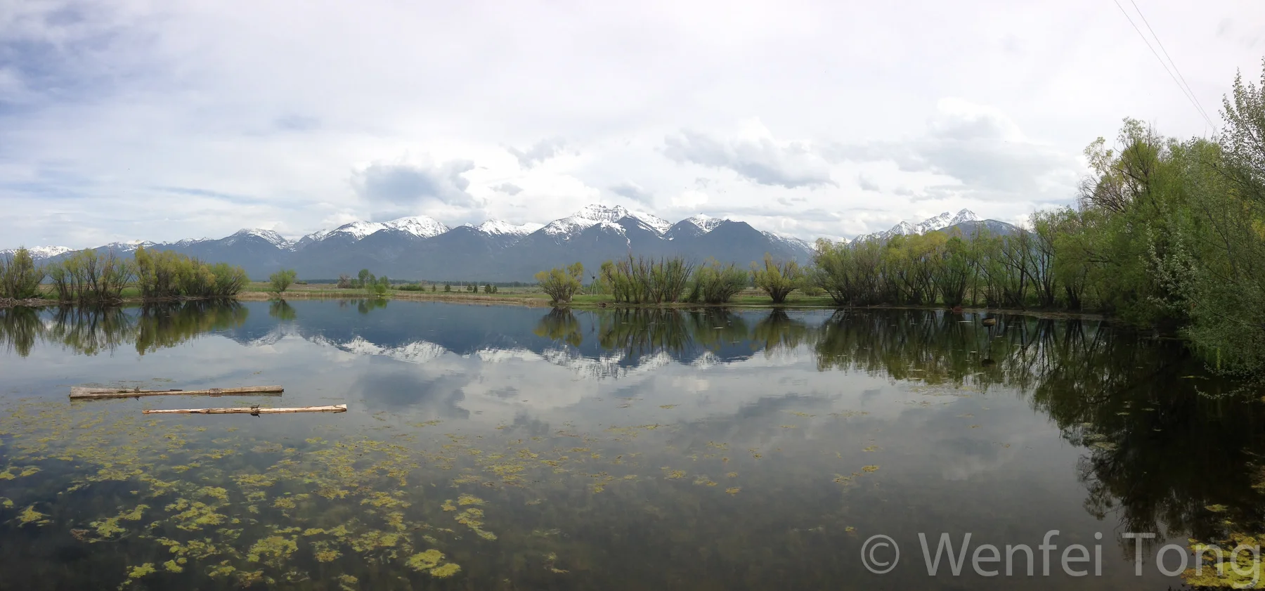 View from lunch near the Bison Range
