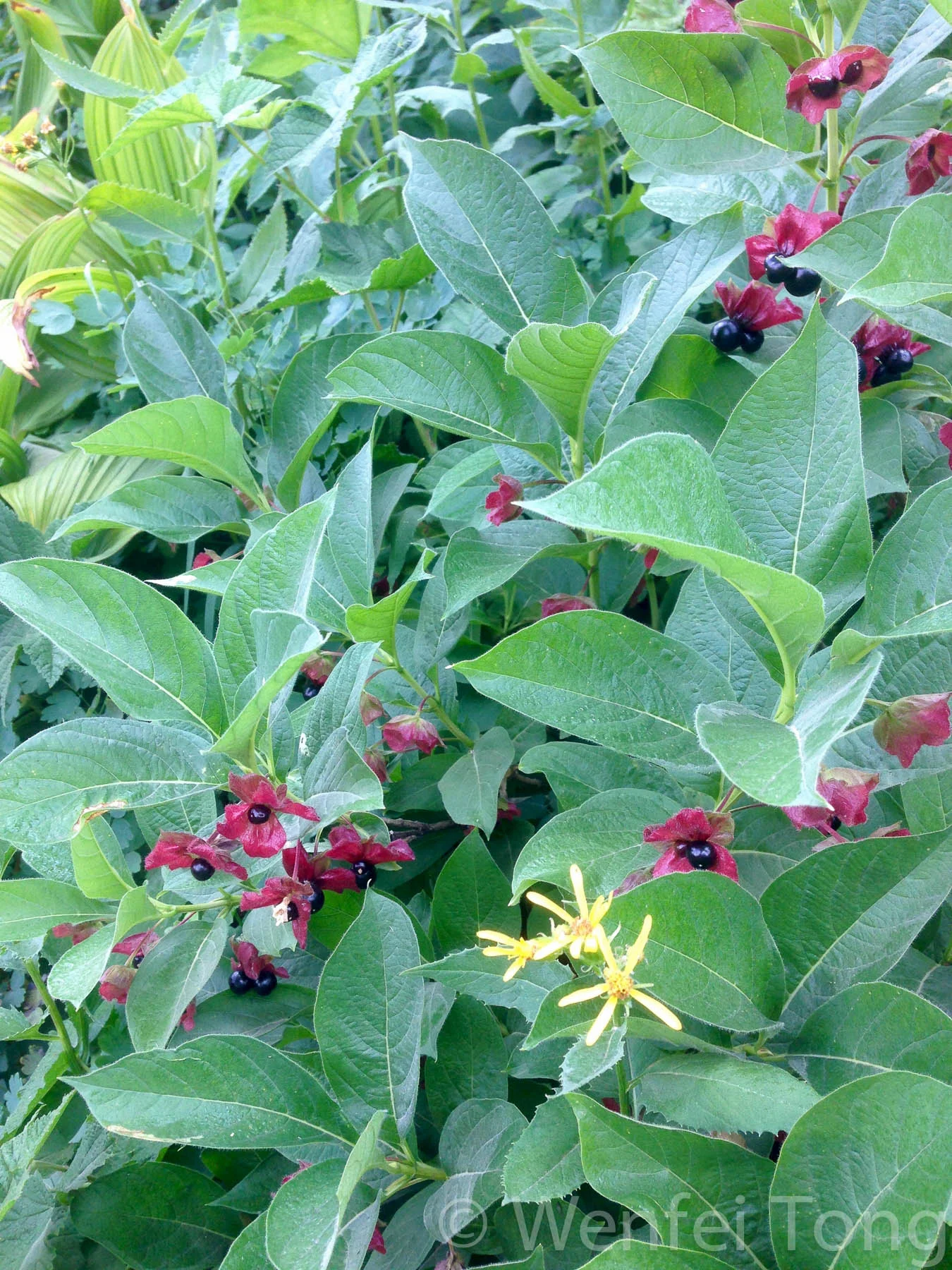 20170801-IMG_0814.jpg