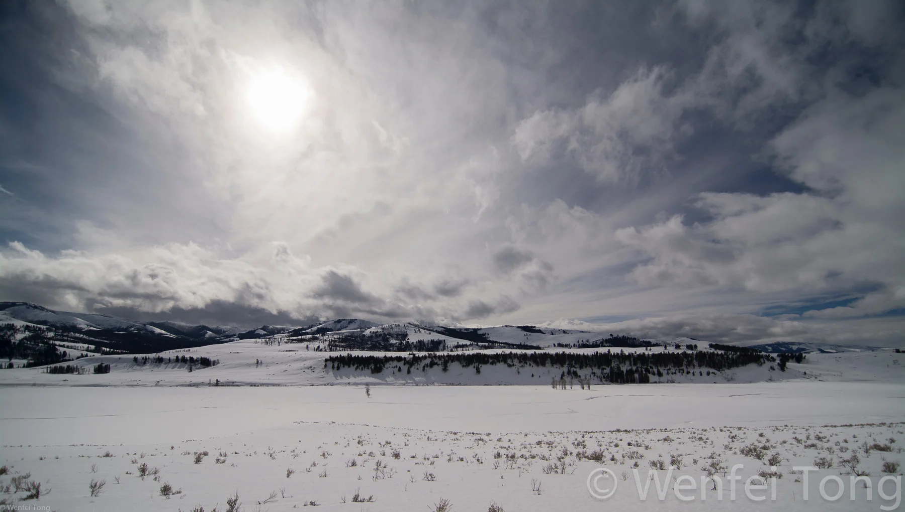 Lamar Valley -- a good place to see wolves in winter