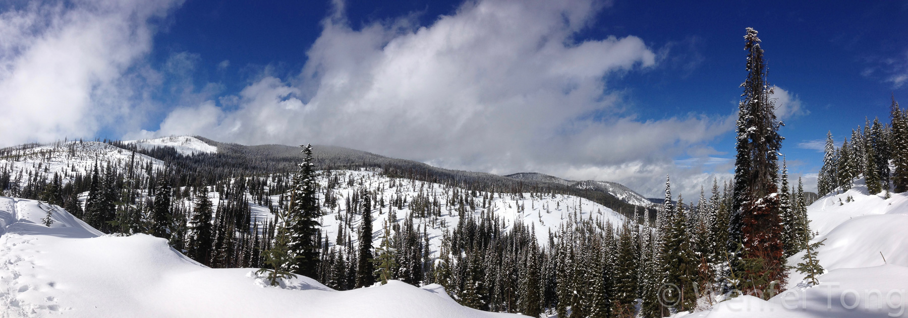 View from skiing near Lolo Pass