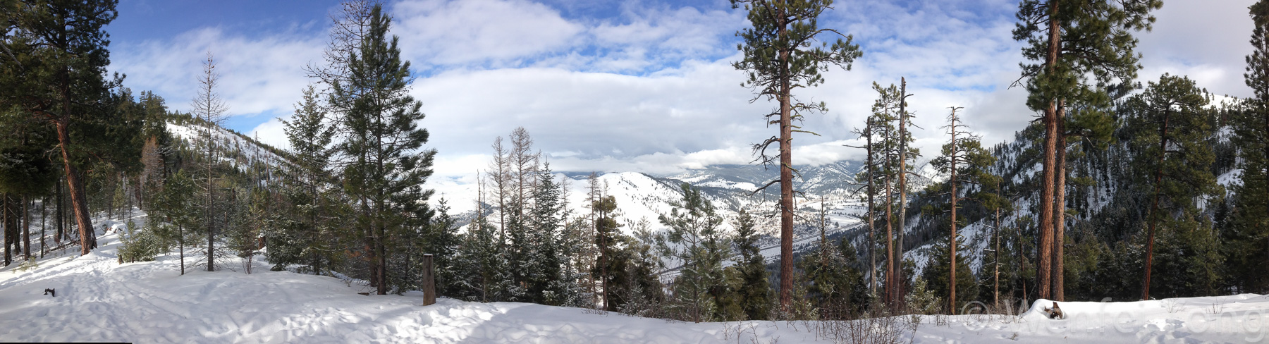 View from a trail 15 min from downtown Missoula