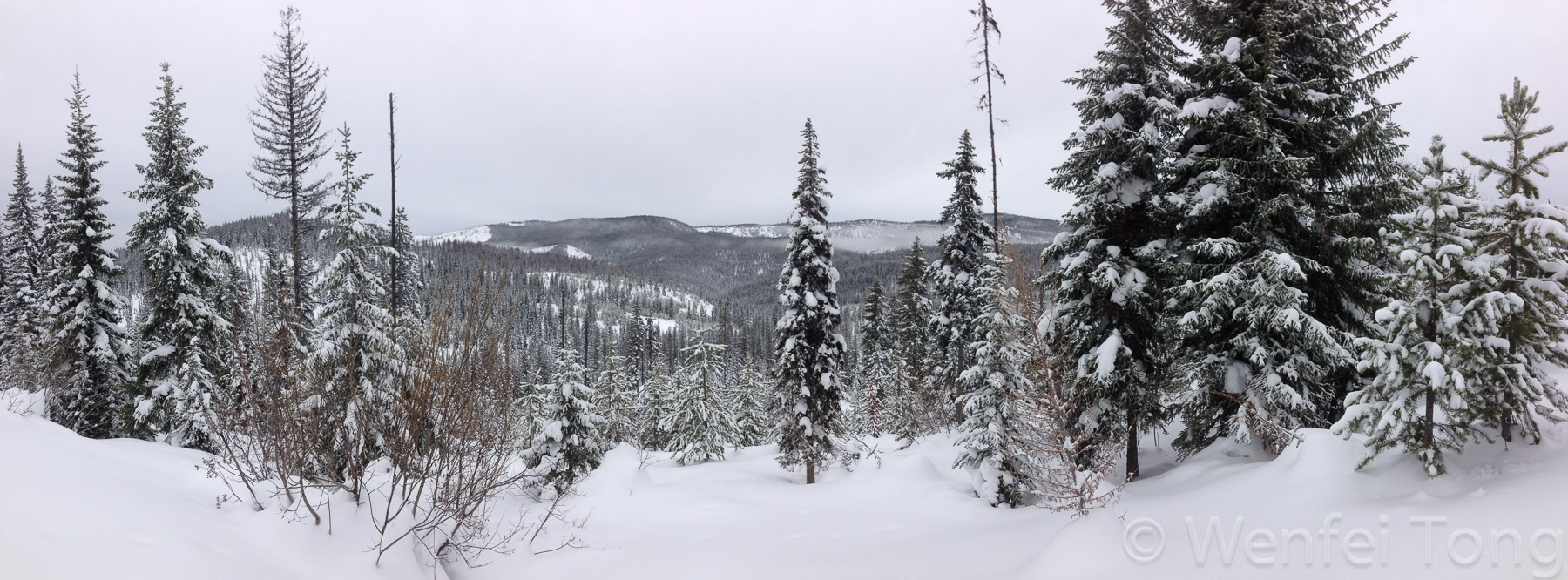 Skiing near Lolo Pass