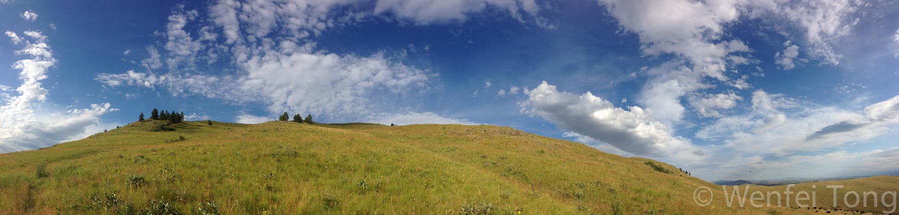 Typical sunny summer morning on the Bison Range