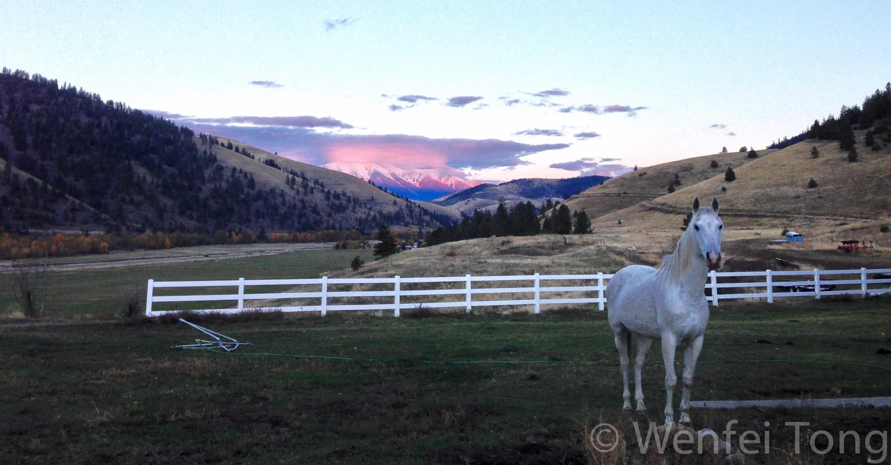 view of the Bison range hills (on the left) and snow-capped Mission mountains from the ranch