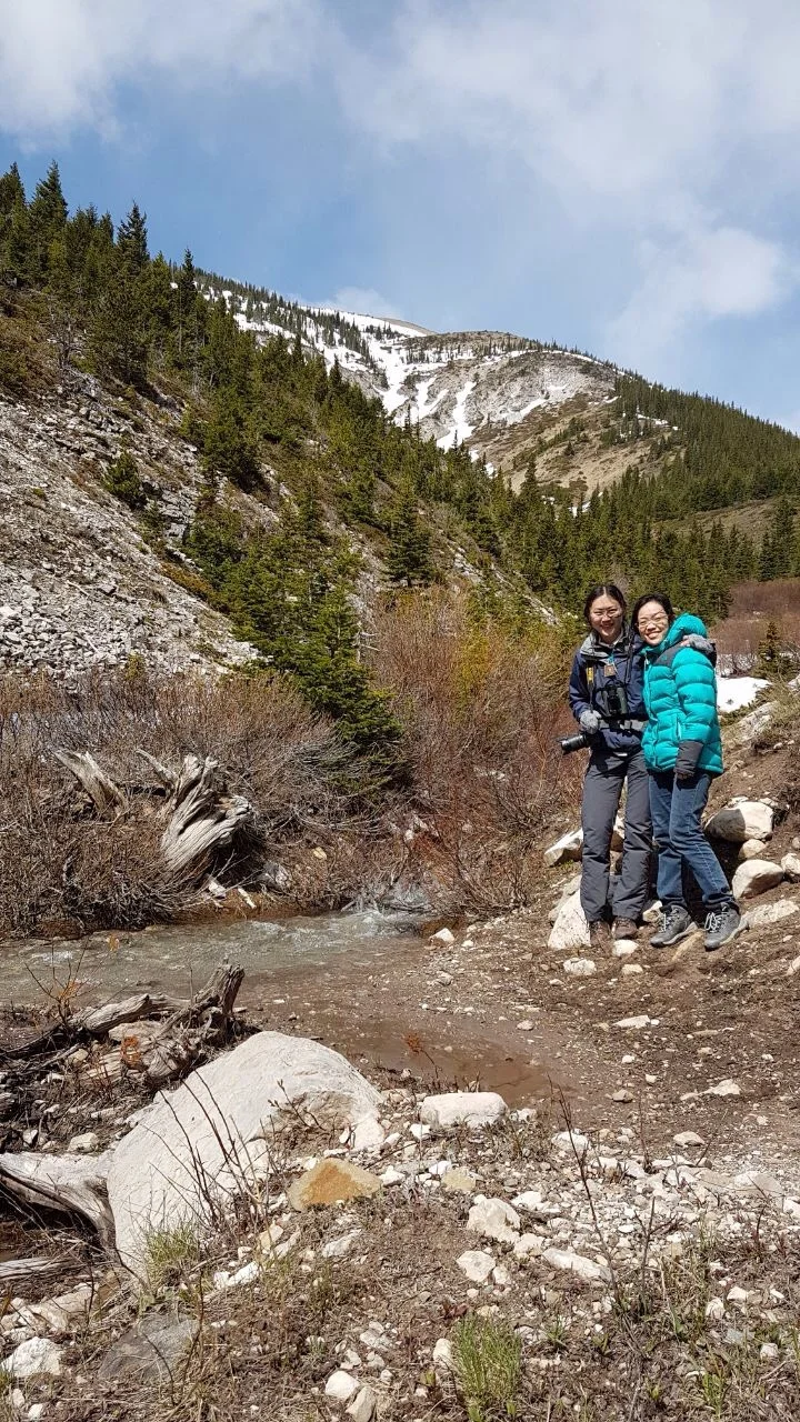 spring in the Bob Marshall wilderness