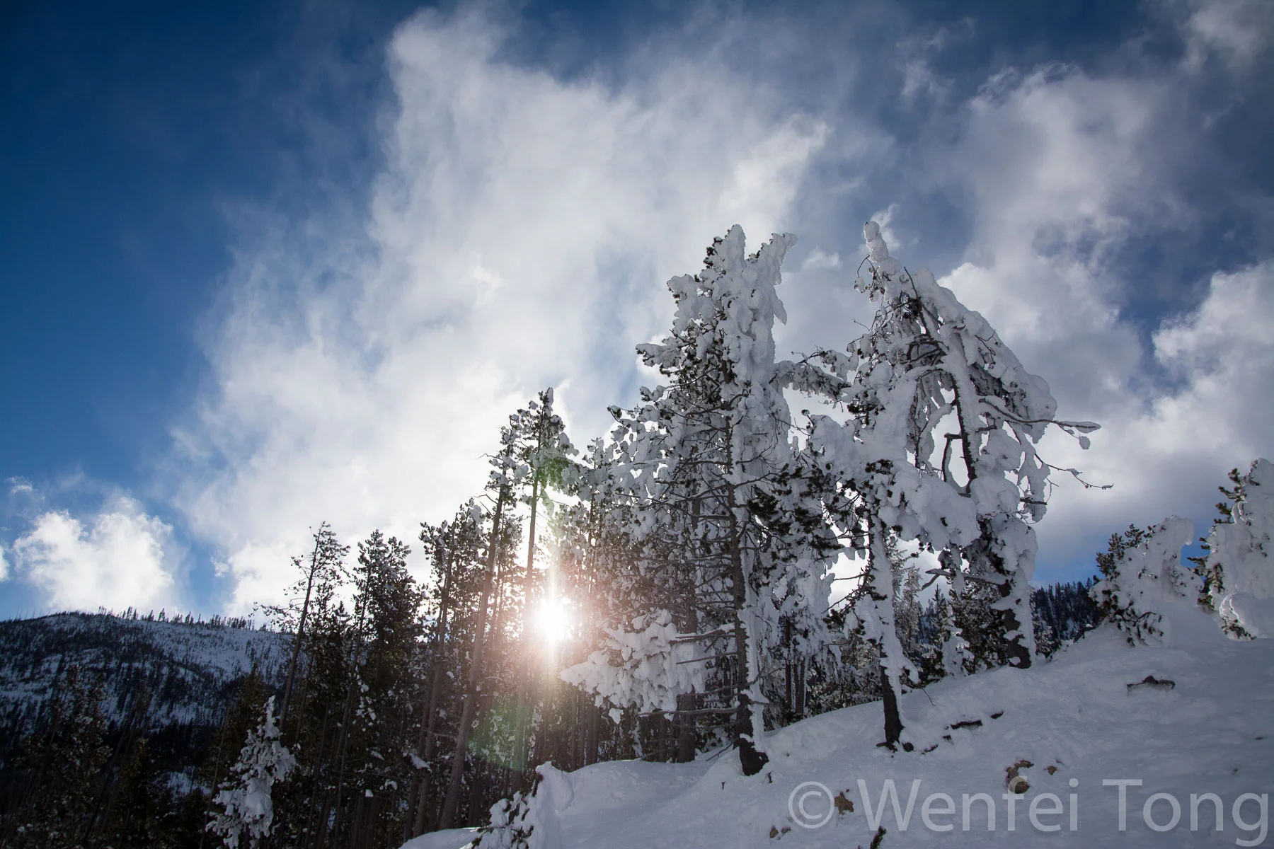 20180223-WFT_4640.jpg