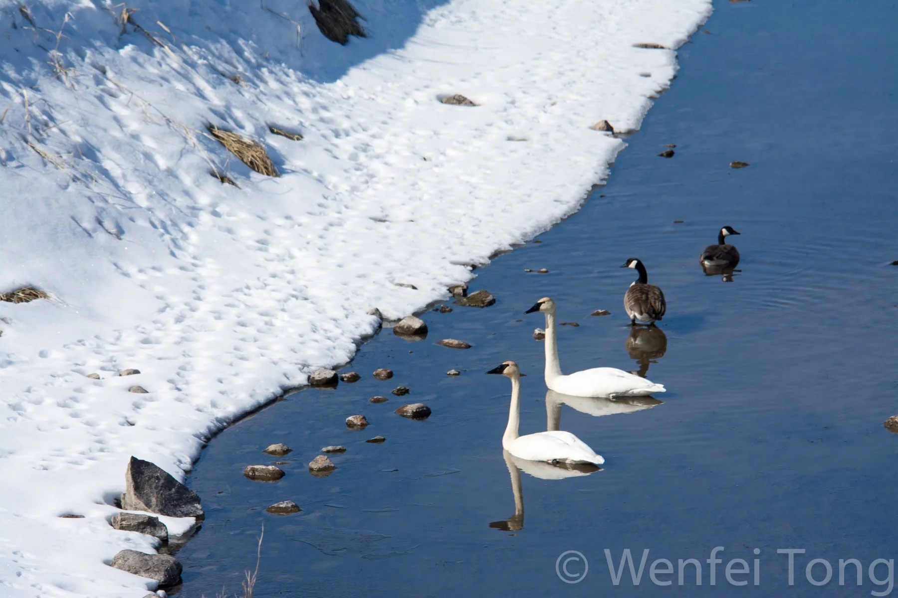 20180307-WFT_4660.jpg