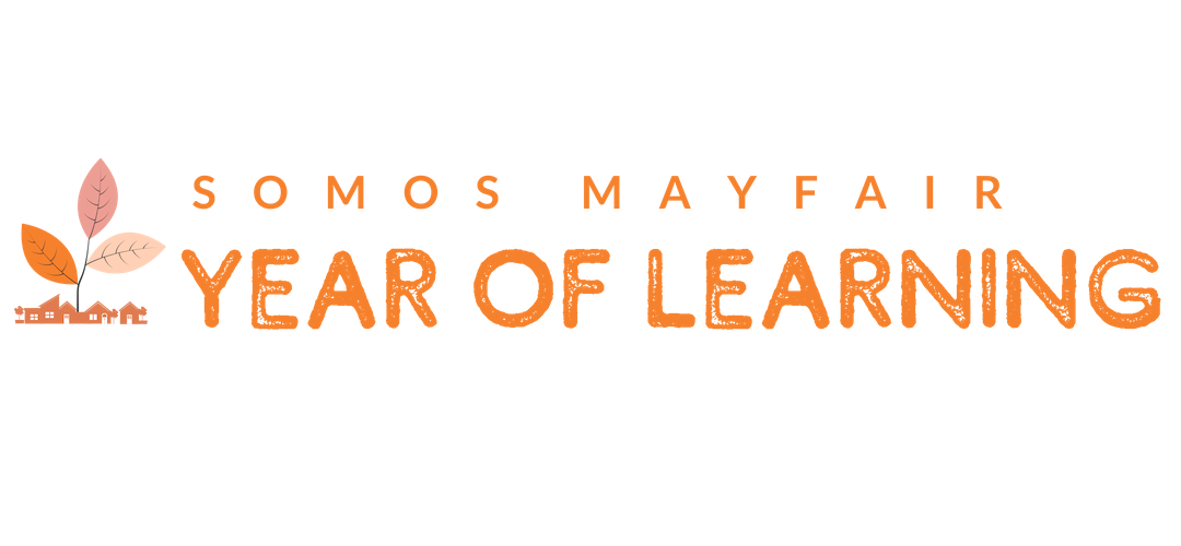 New YOL 1.png