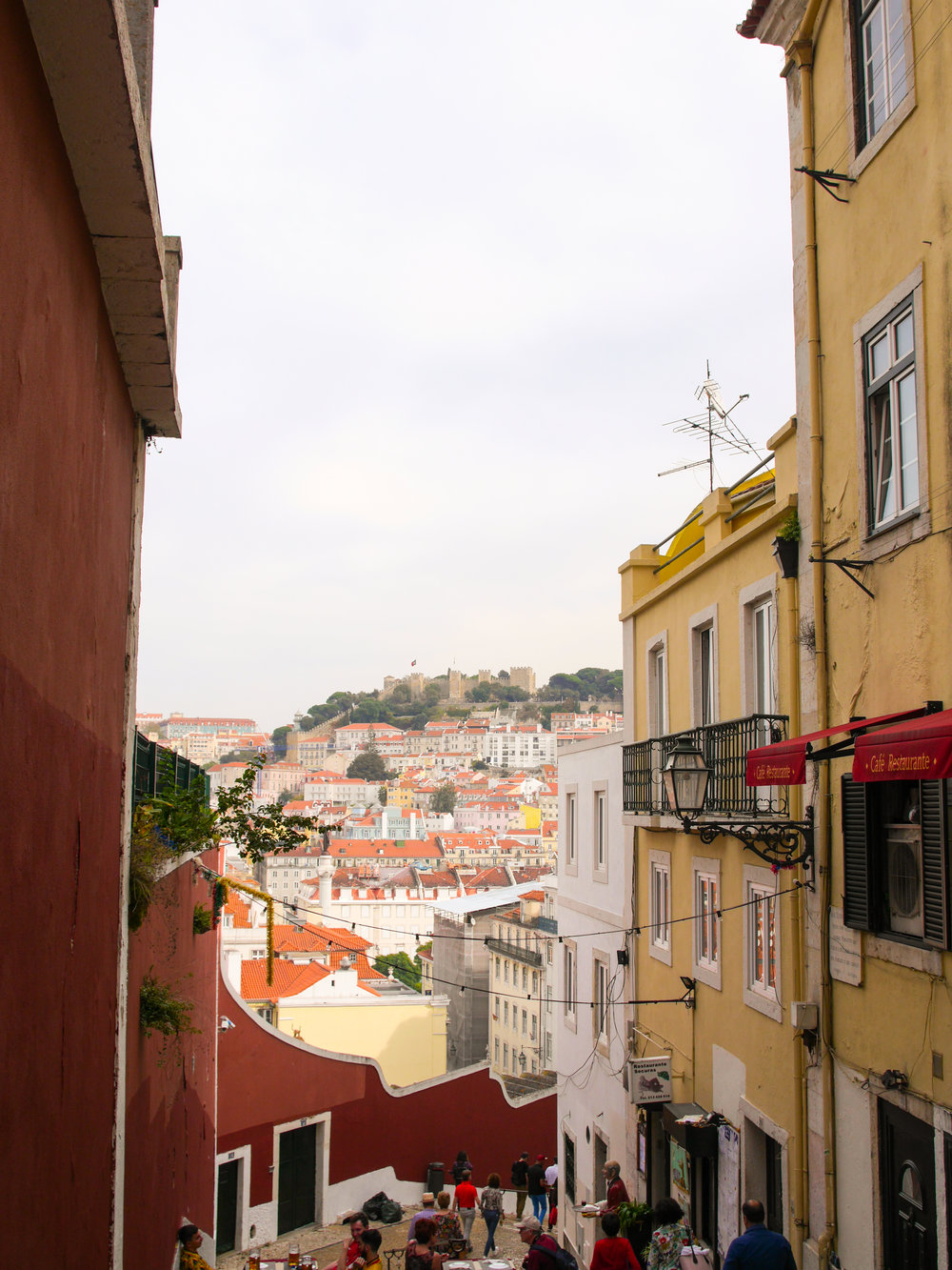 viewfromstepsedit+(1+of+1).jpg