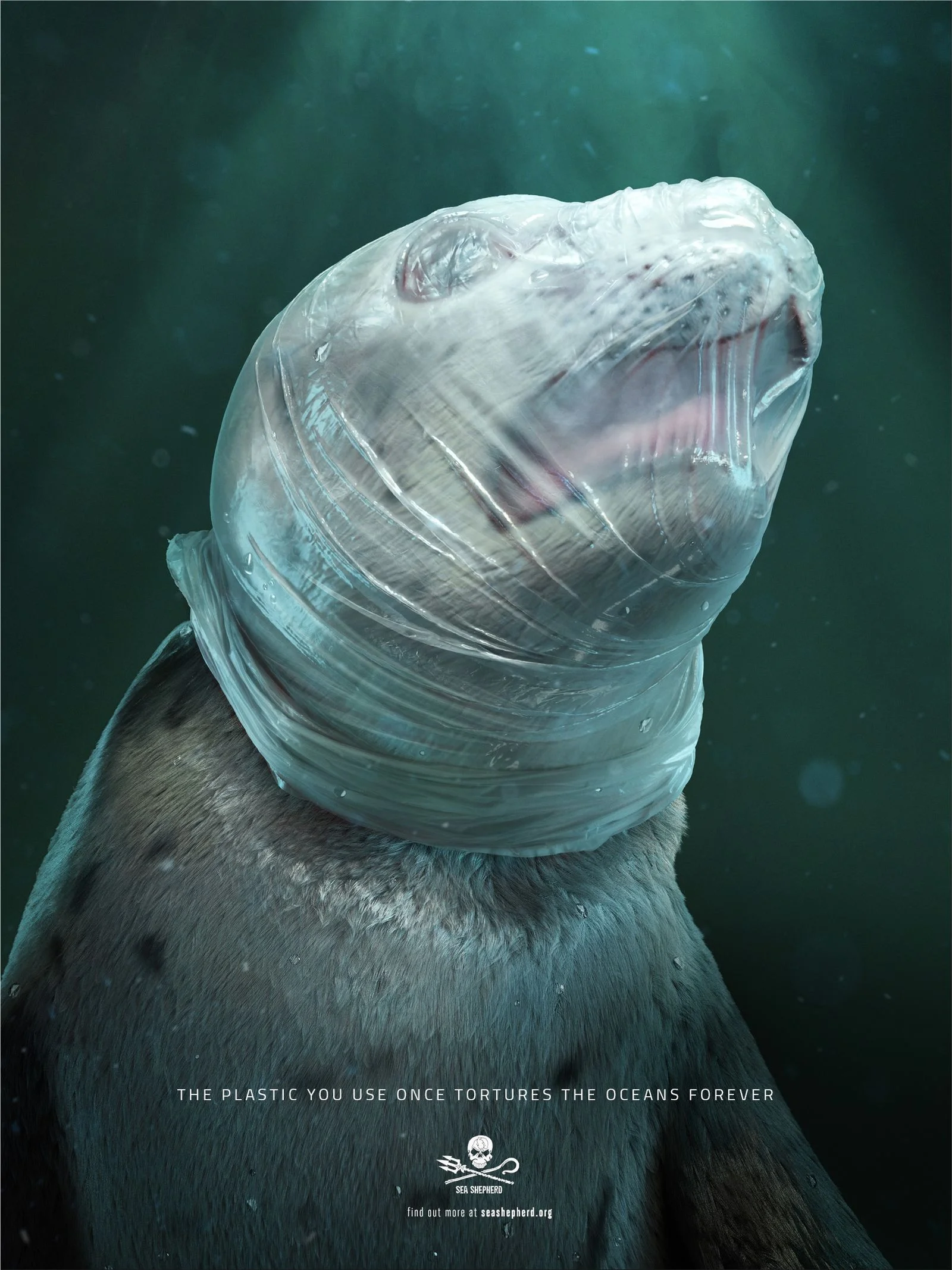 Sea-Shepherd-print-advertisement-02-2206-a.jpg