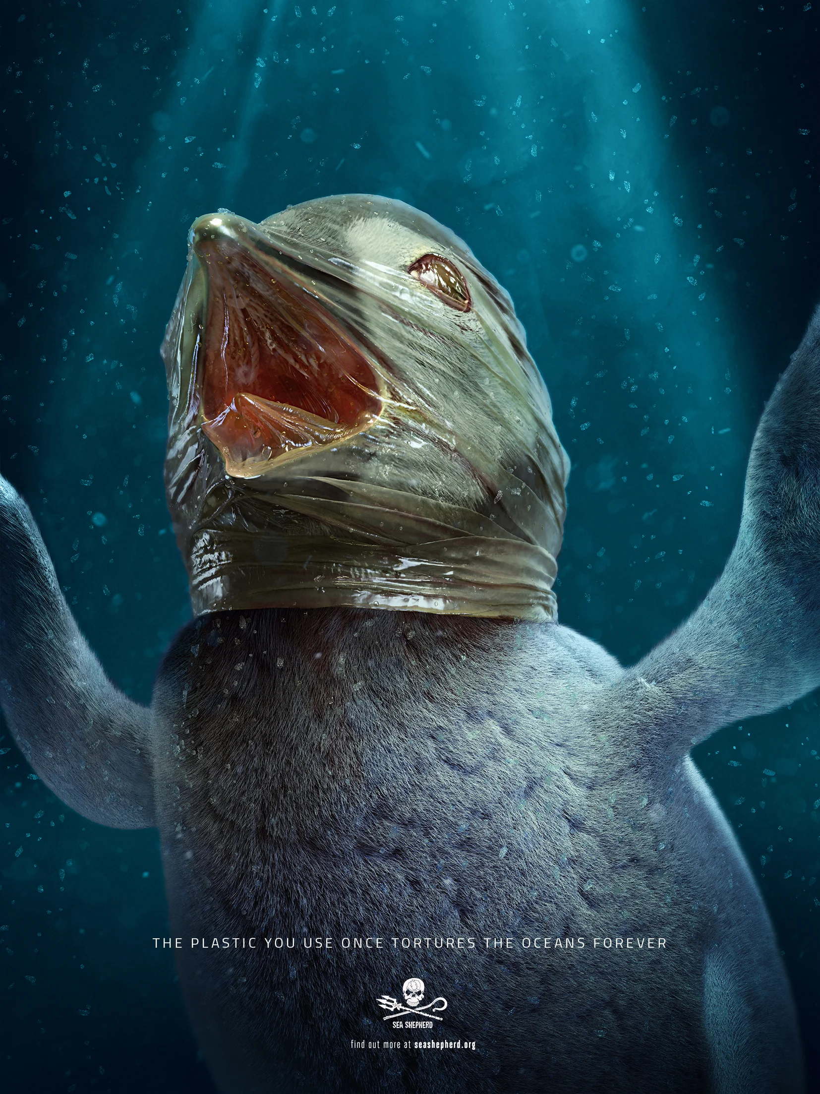 PRINT_pinguim_SeaSheperd-EN-RGB.jpg