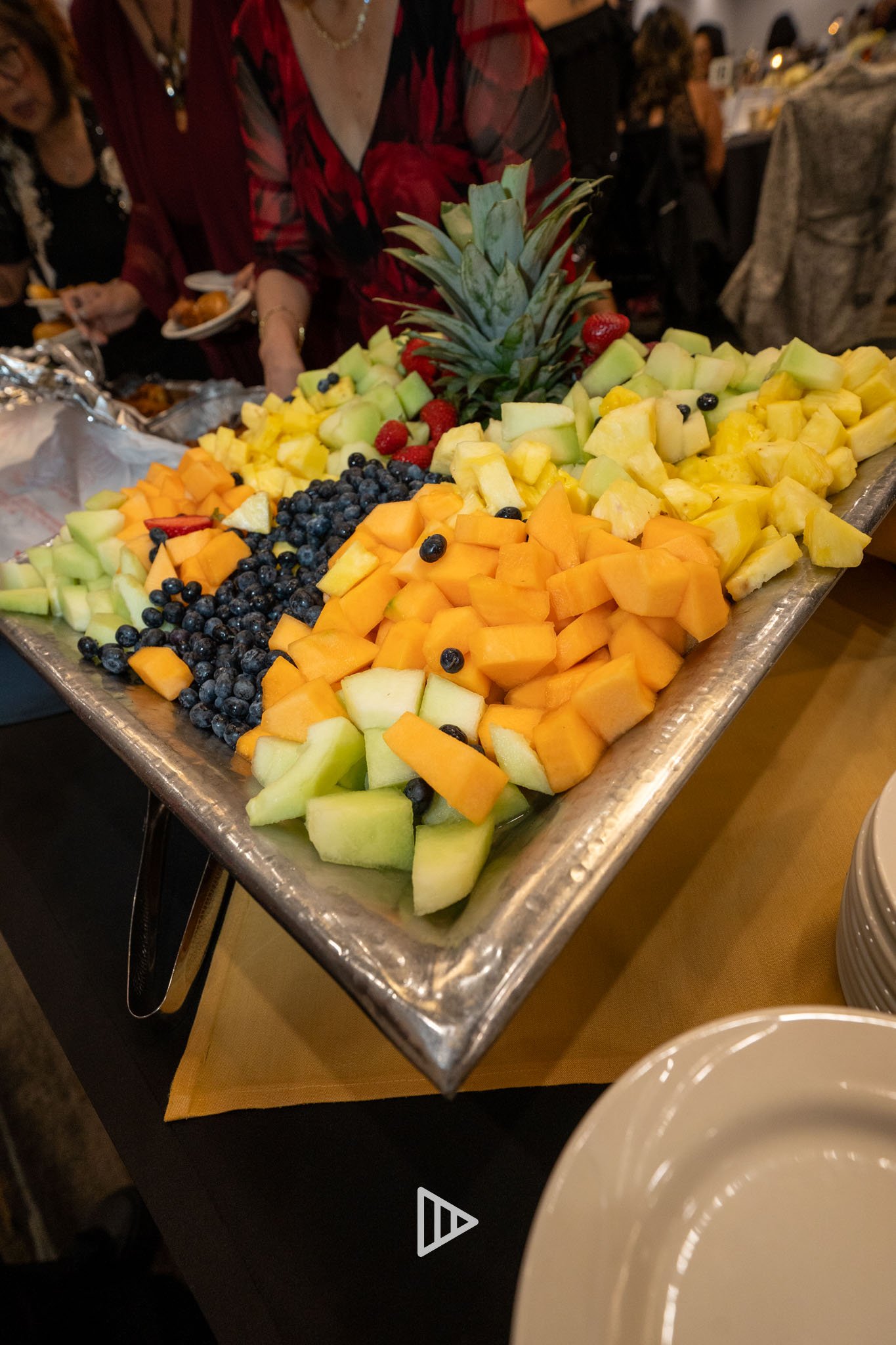 Frequency Media Group x SEVA Lions-046.jpg
