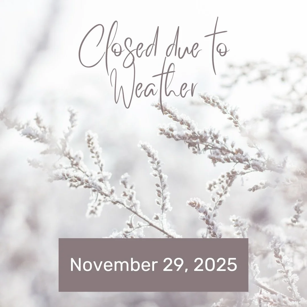 Stay safe and warm during this first storm of the season. The studio will be closed today Saturday November 29, 2025.