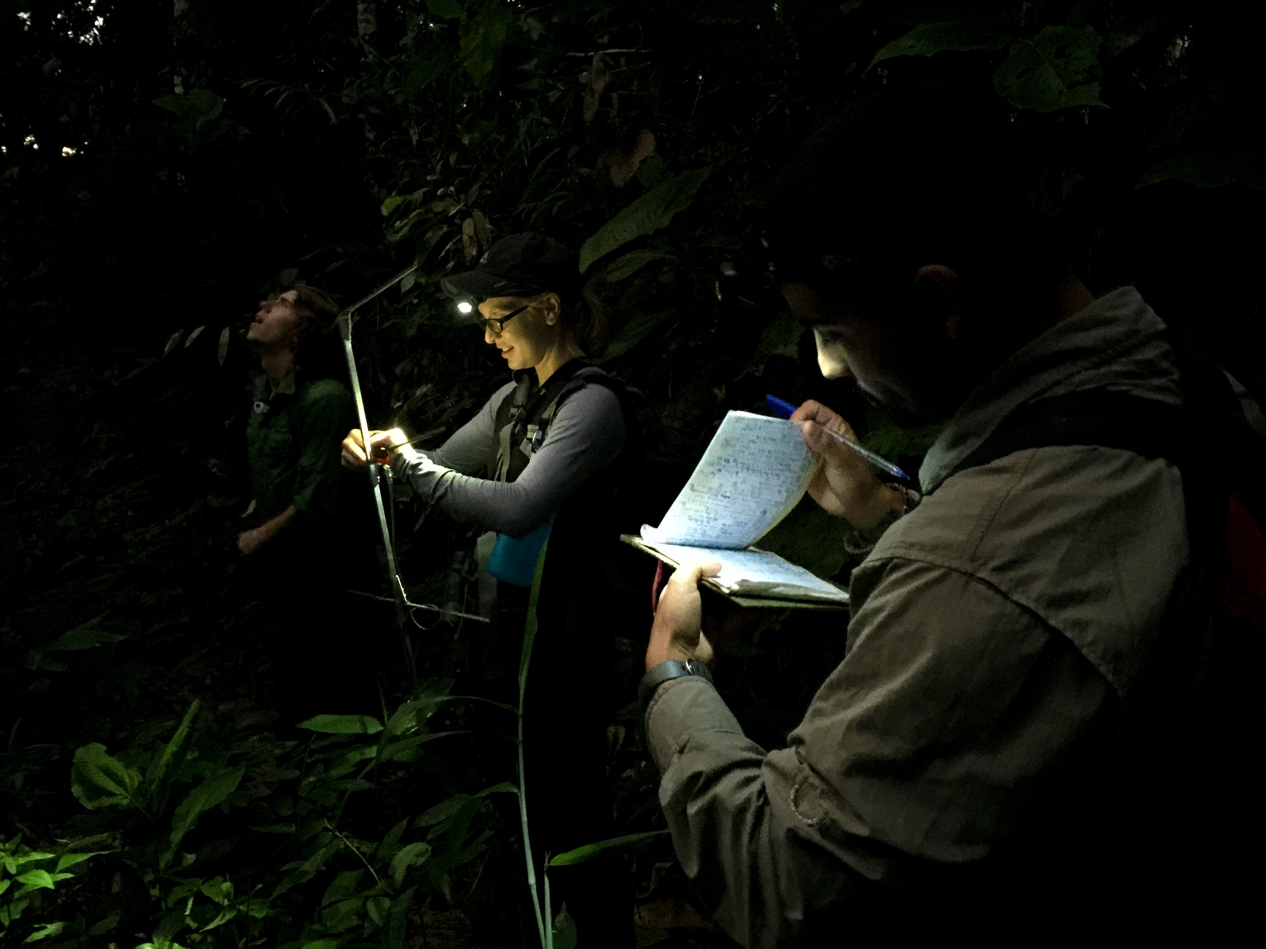  Data collection in the Amazon 