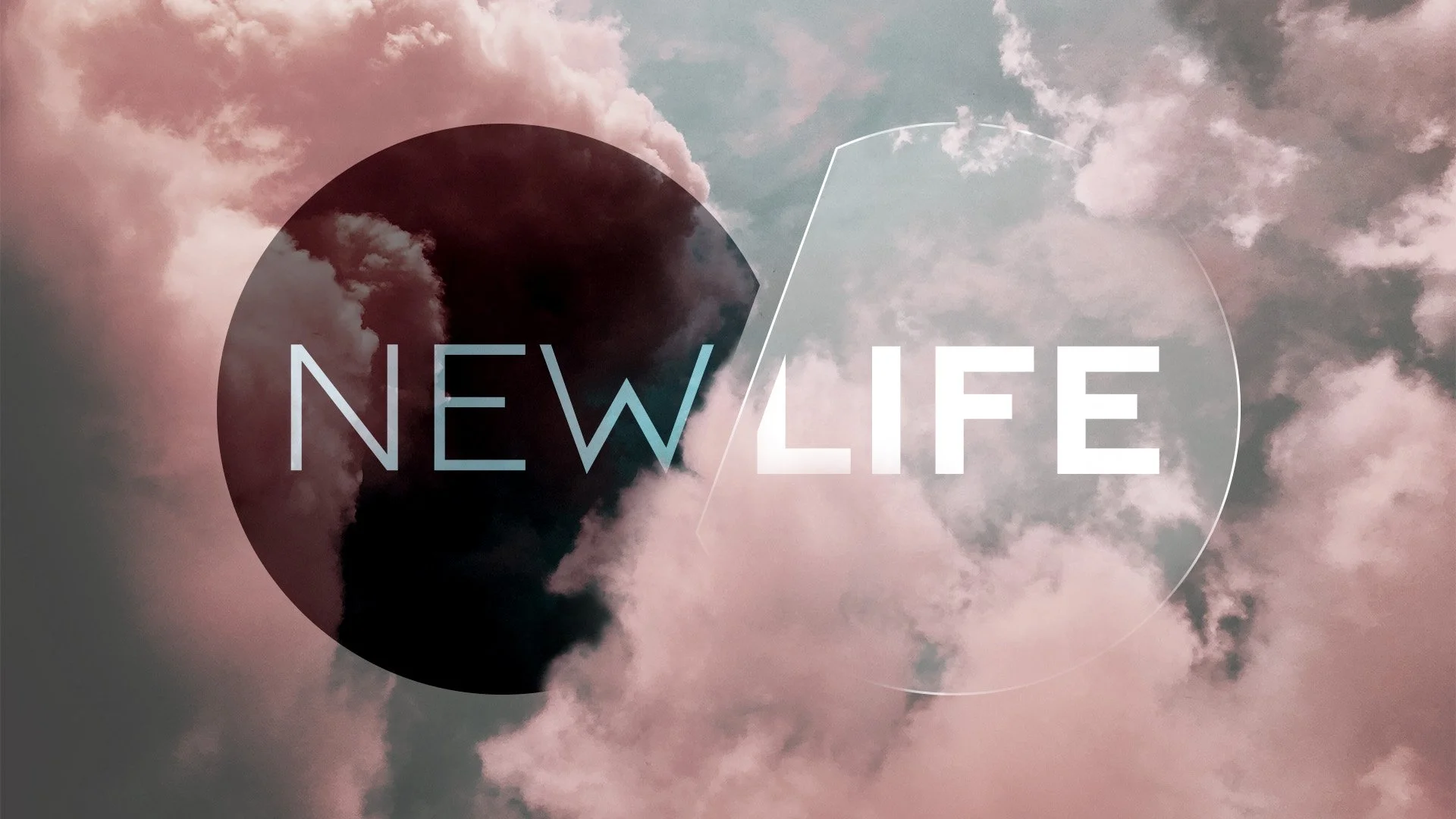 New Life Sunday | October 2024