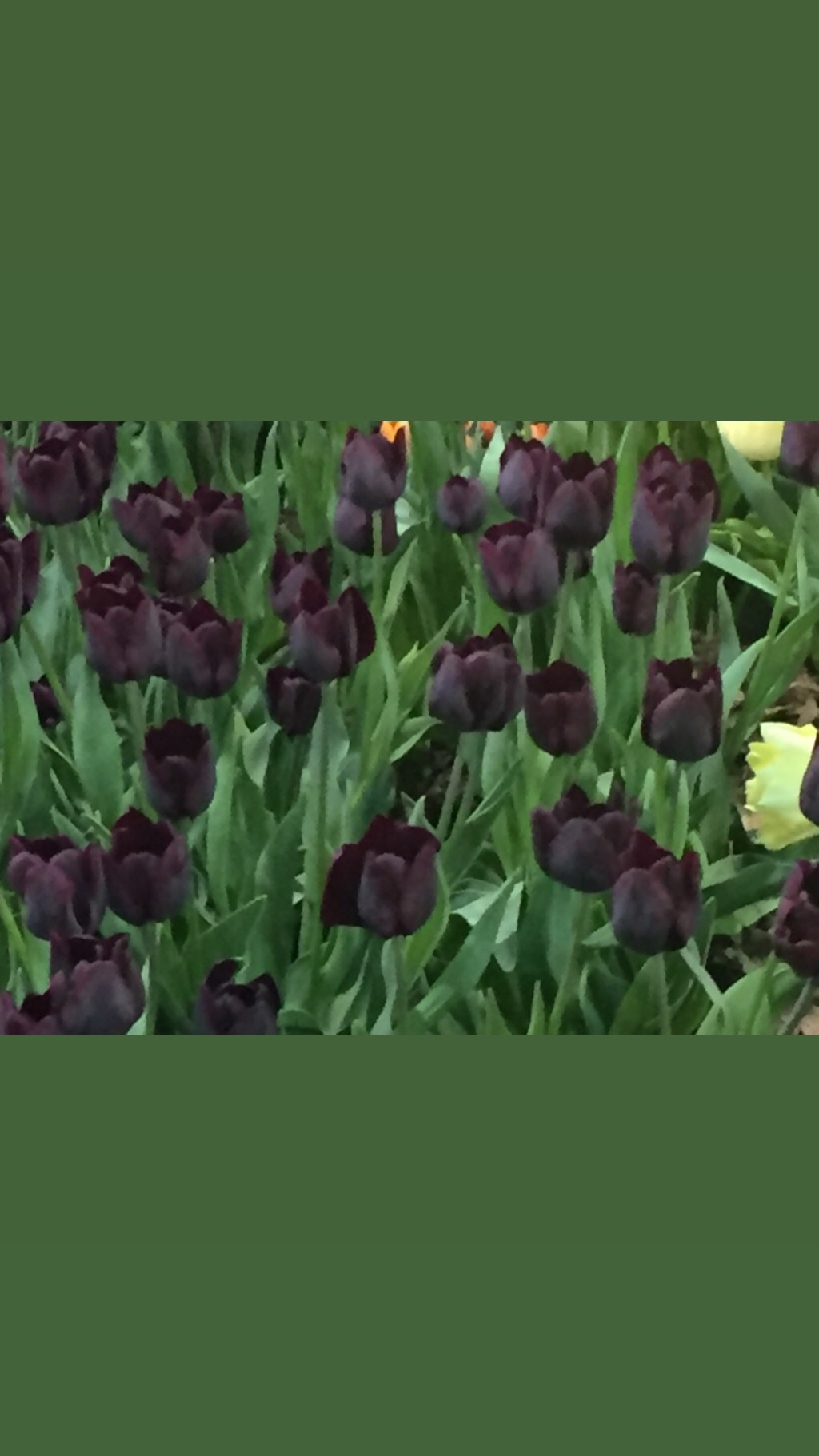 4D73EED7-934F-4FAF-93C8-EF3DC7731D13.jpeg