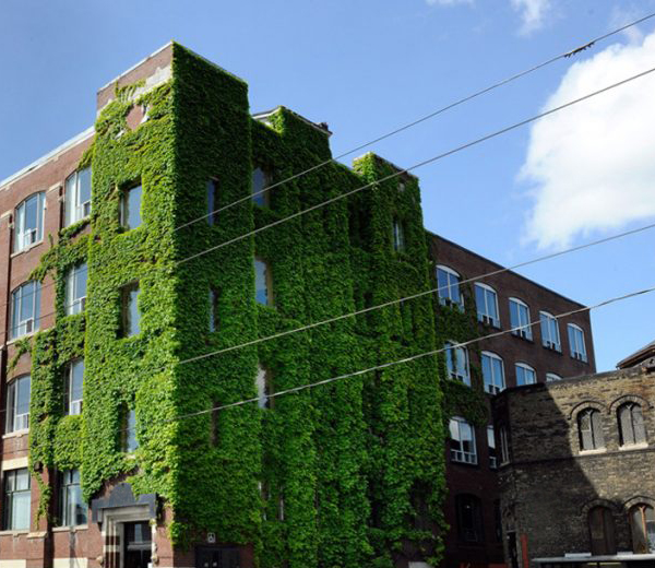 720Bathurst.jpg