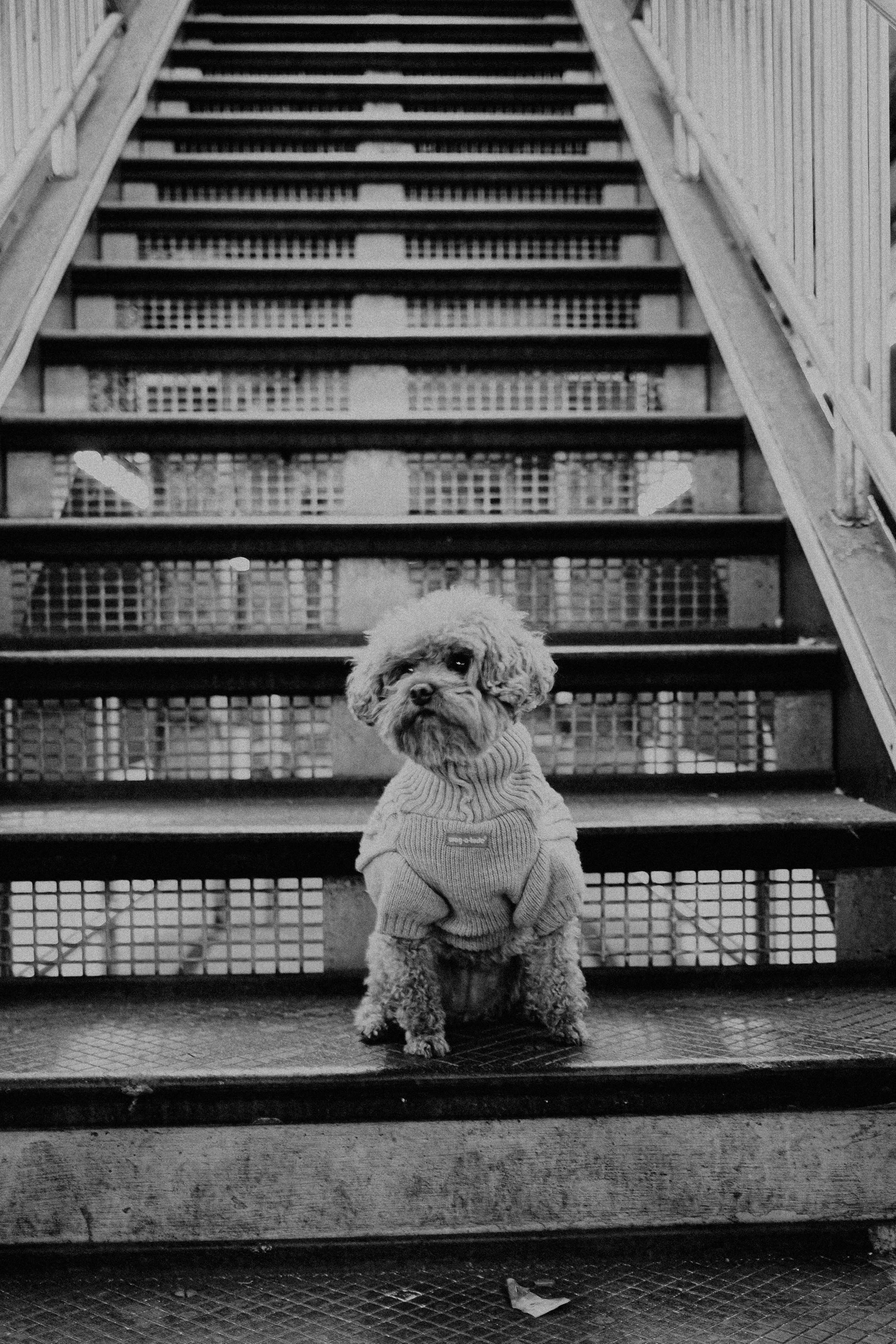 Portrait: It is Autumn