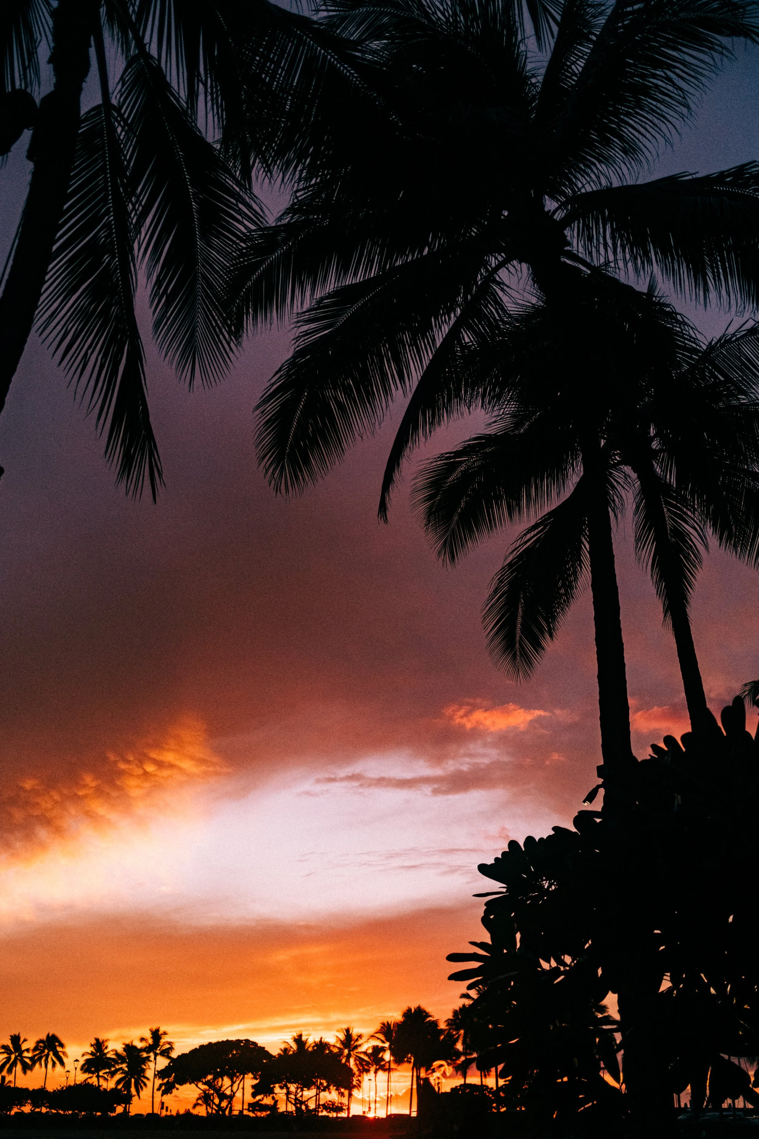 End of year (1 of 1).JPG