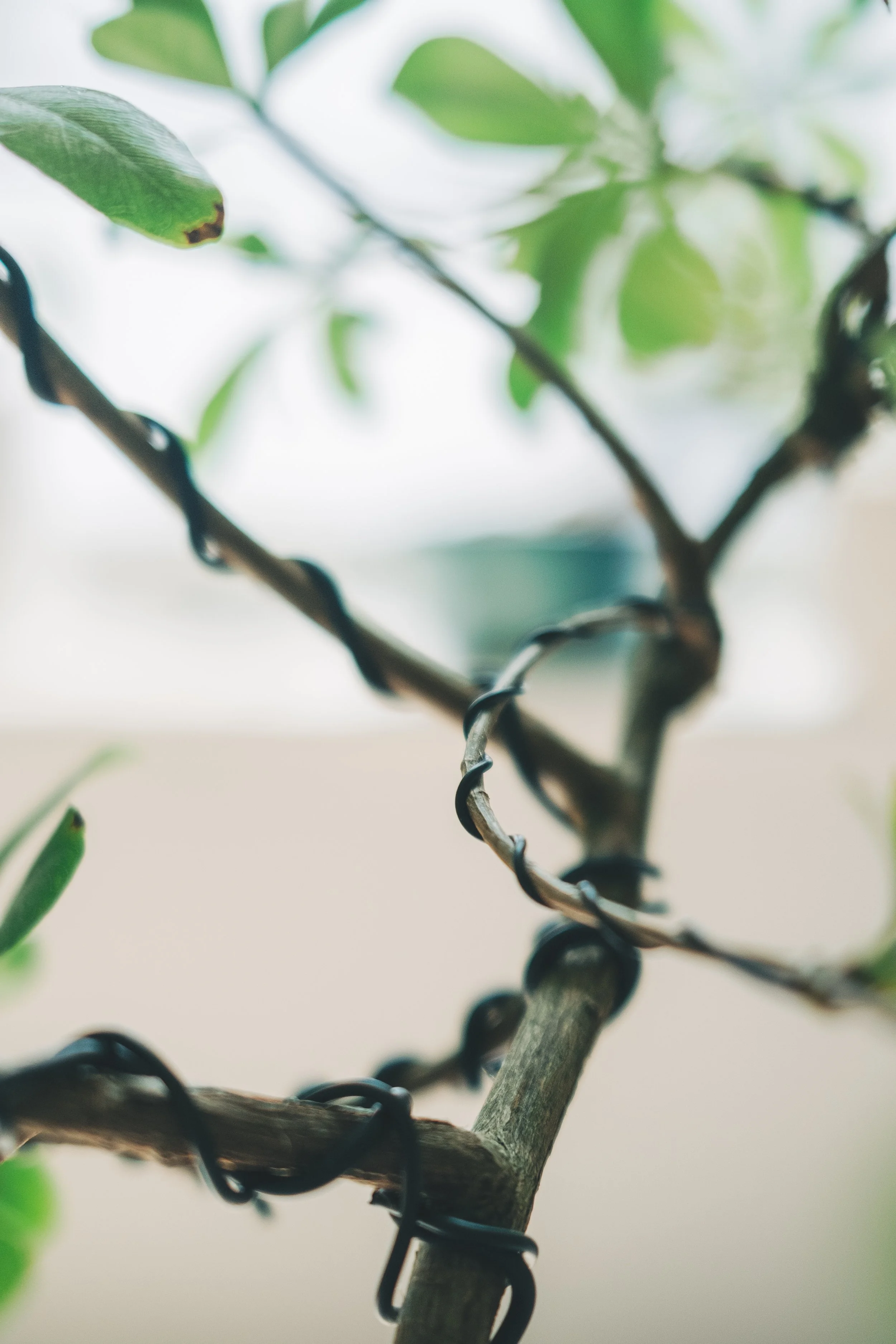 Cassius' Baptism-7654.jpg