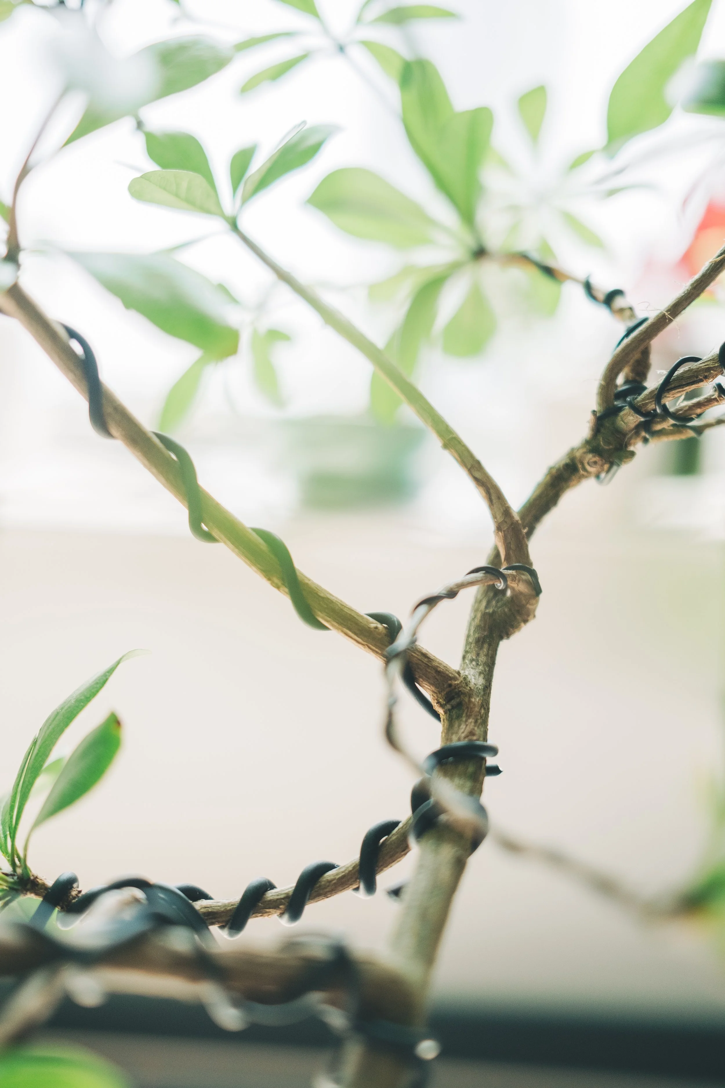 Cassius' Baptism-7670.jpg