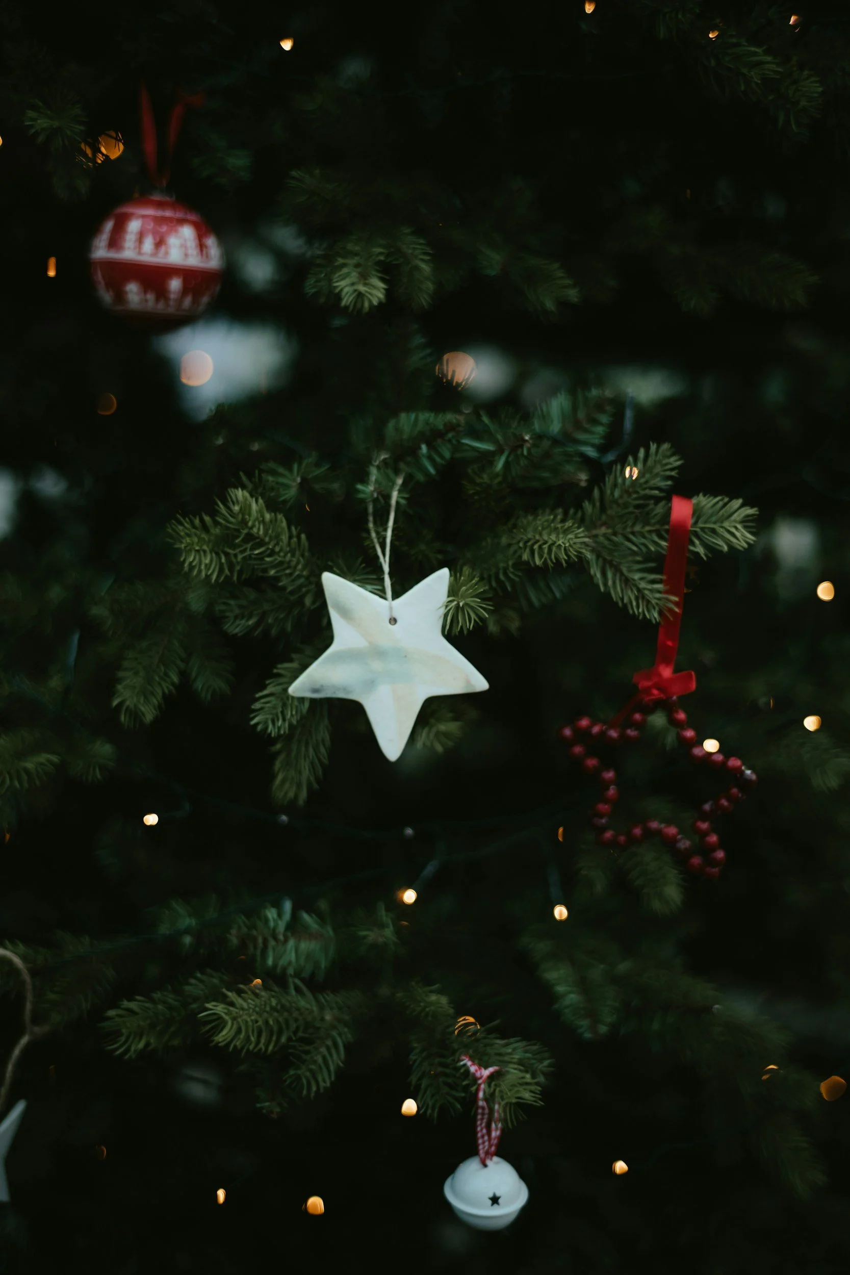 Jesse Tree Ornaments