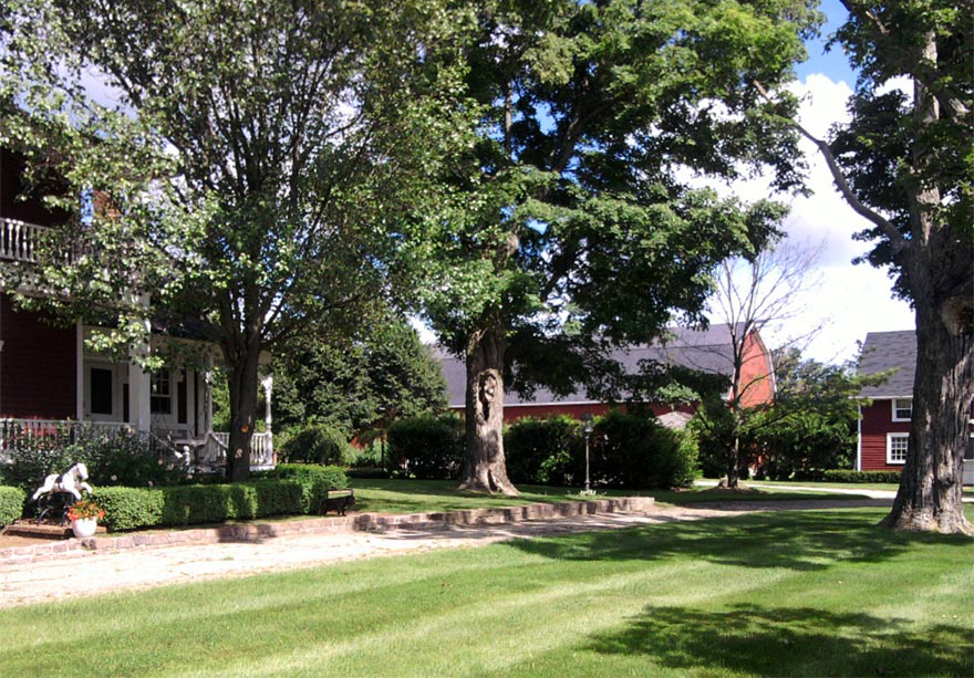 home_03_03.jpg