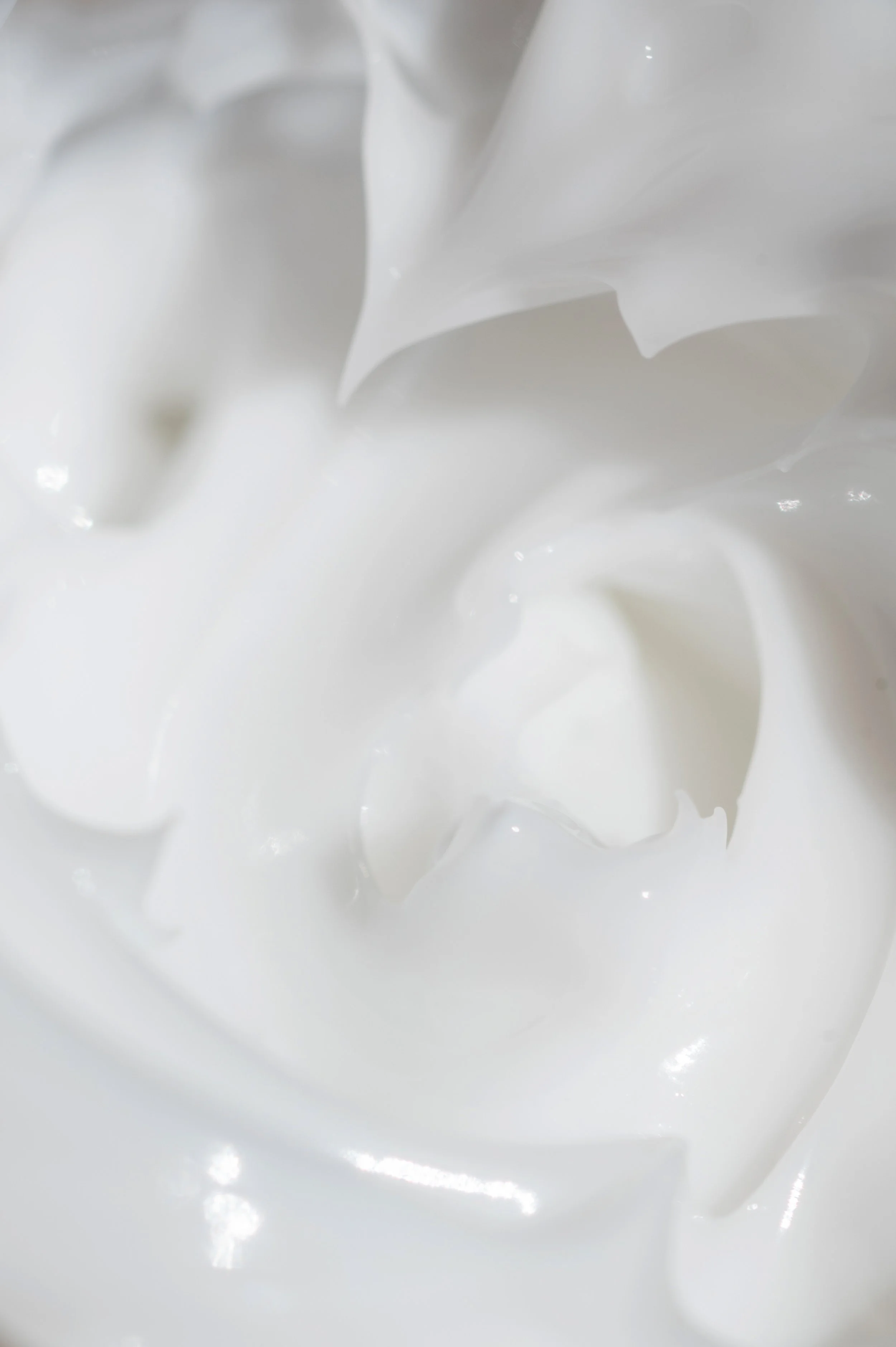 FaceShop-22 copy.jpg