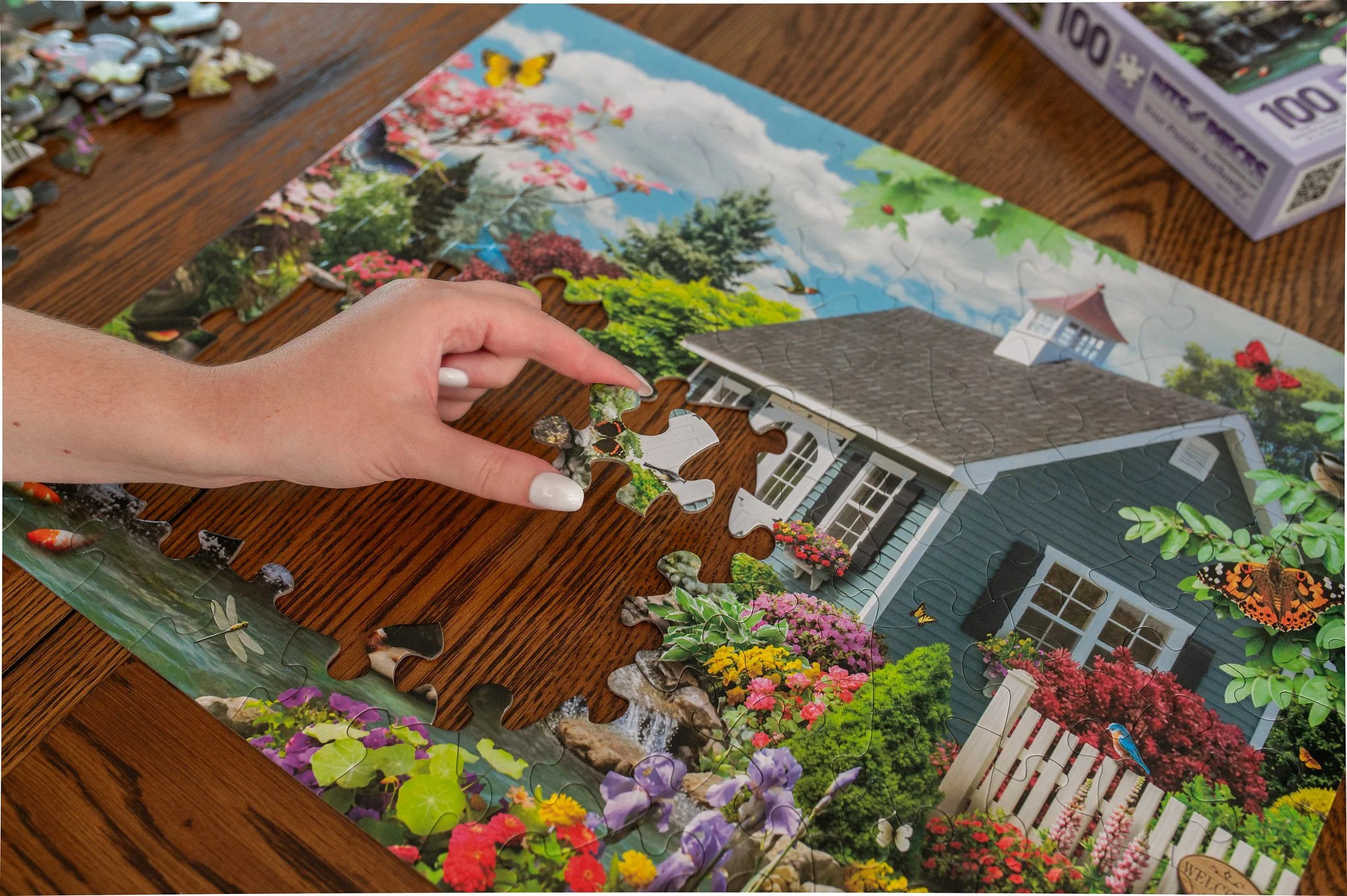 53934634761_8100a6c21f_k.jpg