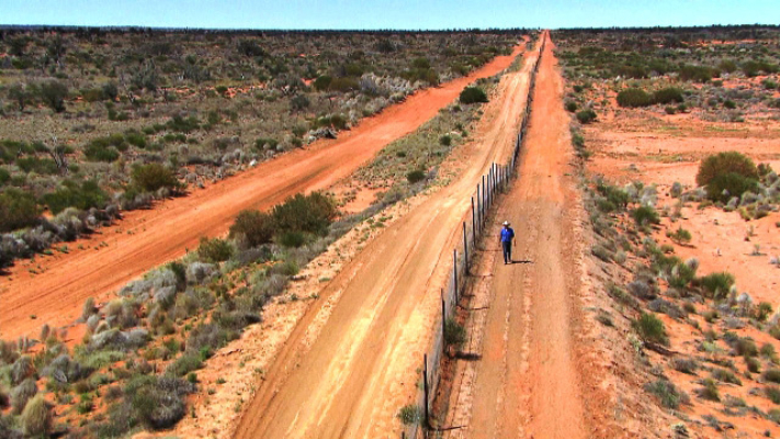 David Graham walking the dingo fence, the longest structure in the world stretching 5,600Km, from Queensland to the Great Australian Bite.