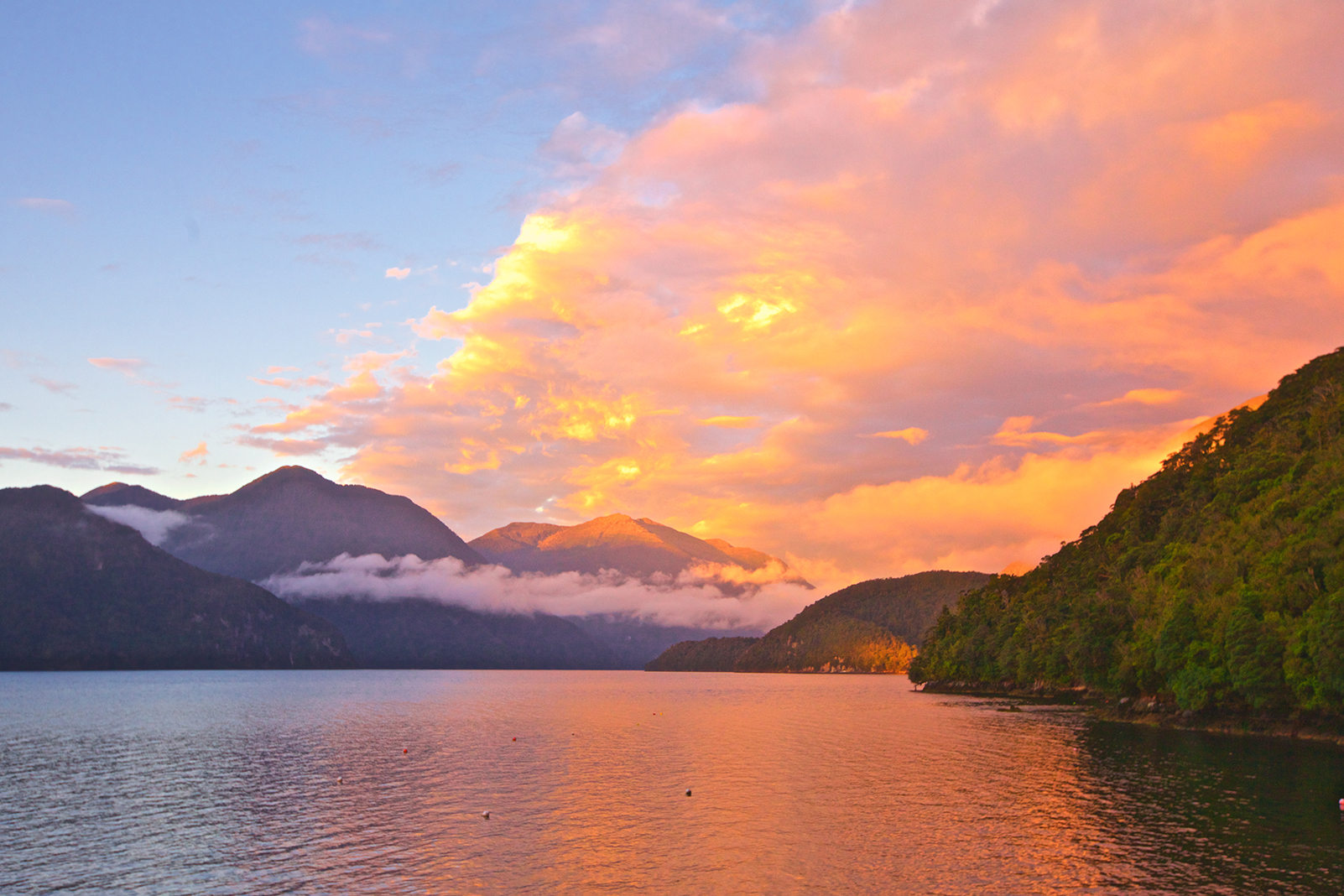 The world heritage listed natural beauty of South West New Zealand. 